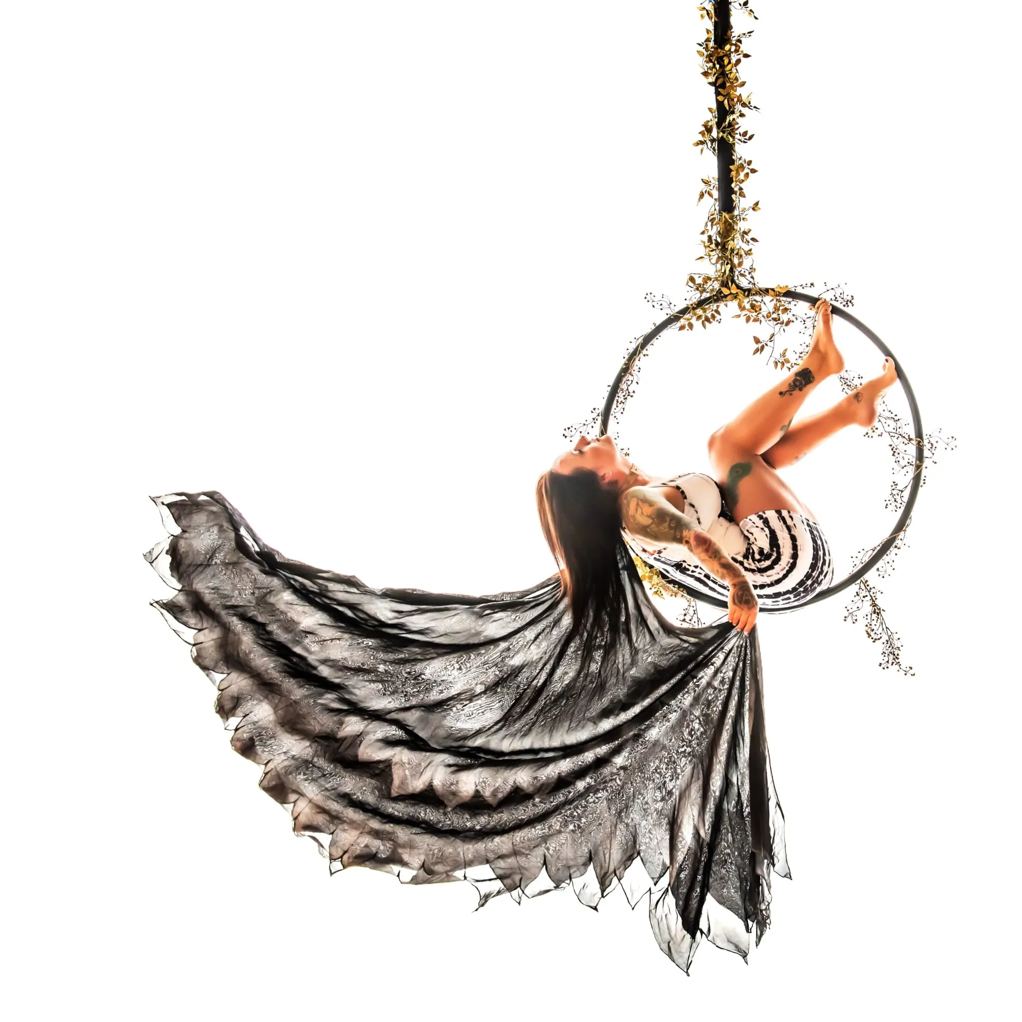 Pole2Pole Aerial Fitness