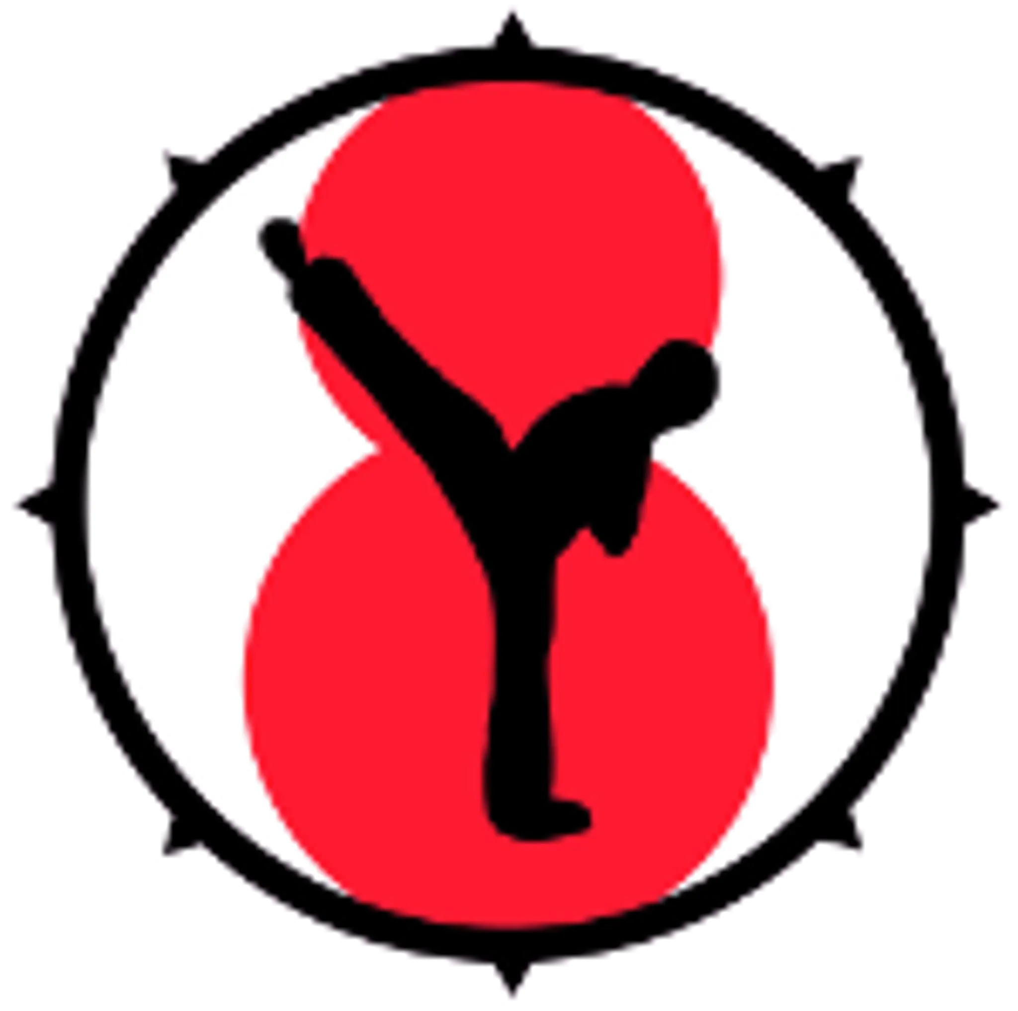 North Norfolk Taekwondo Academy