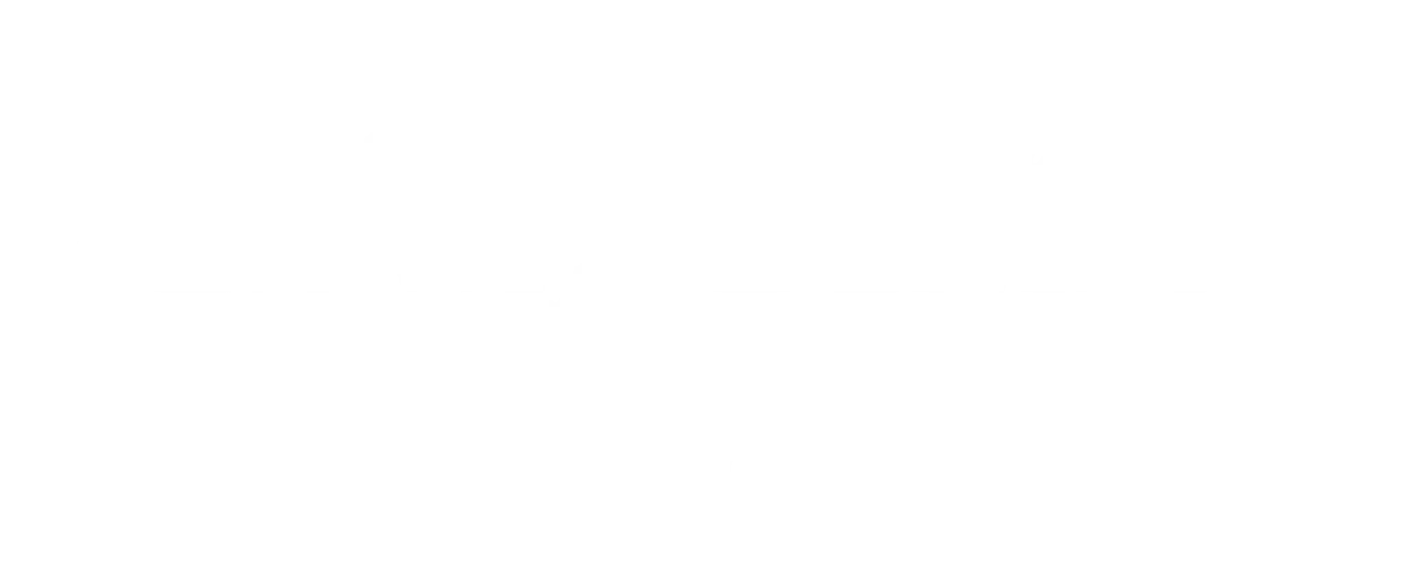 Hunter Academy of Sport