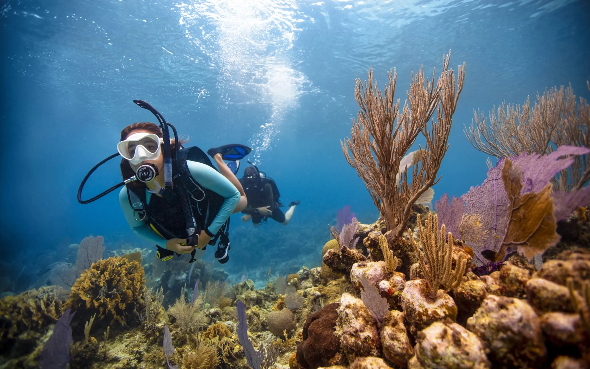 Jurien Bay Oceanic Experience