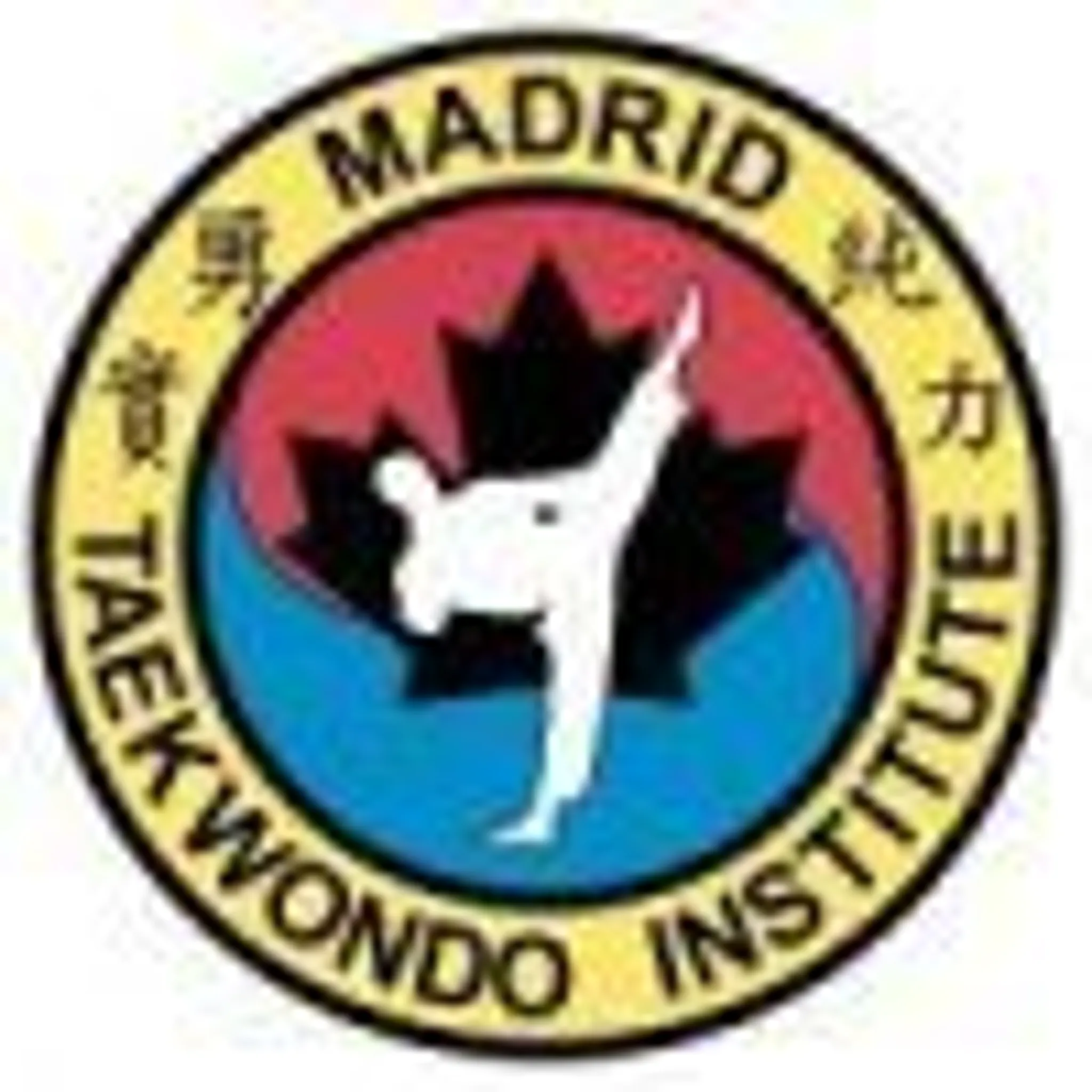 Madrid Taekwondo Institute