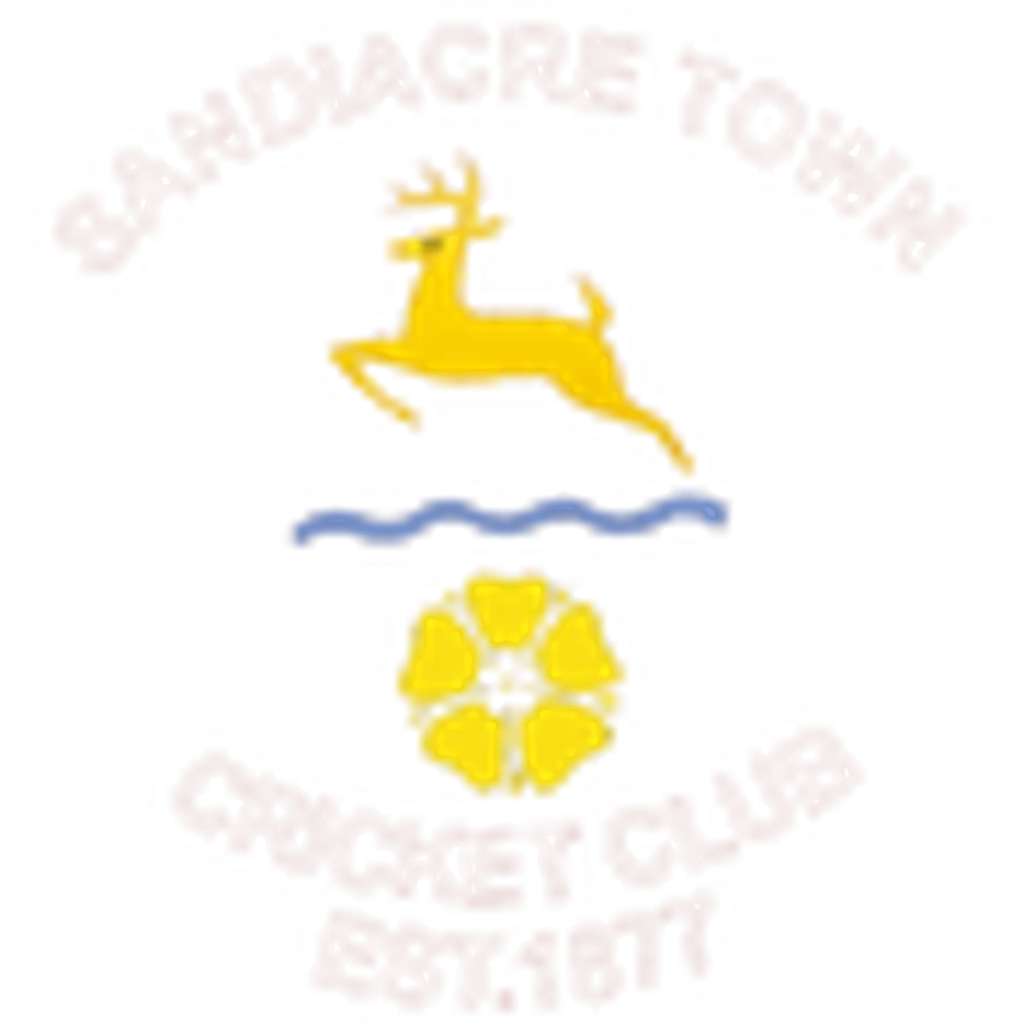 Sandiacre Town Cricket Club