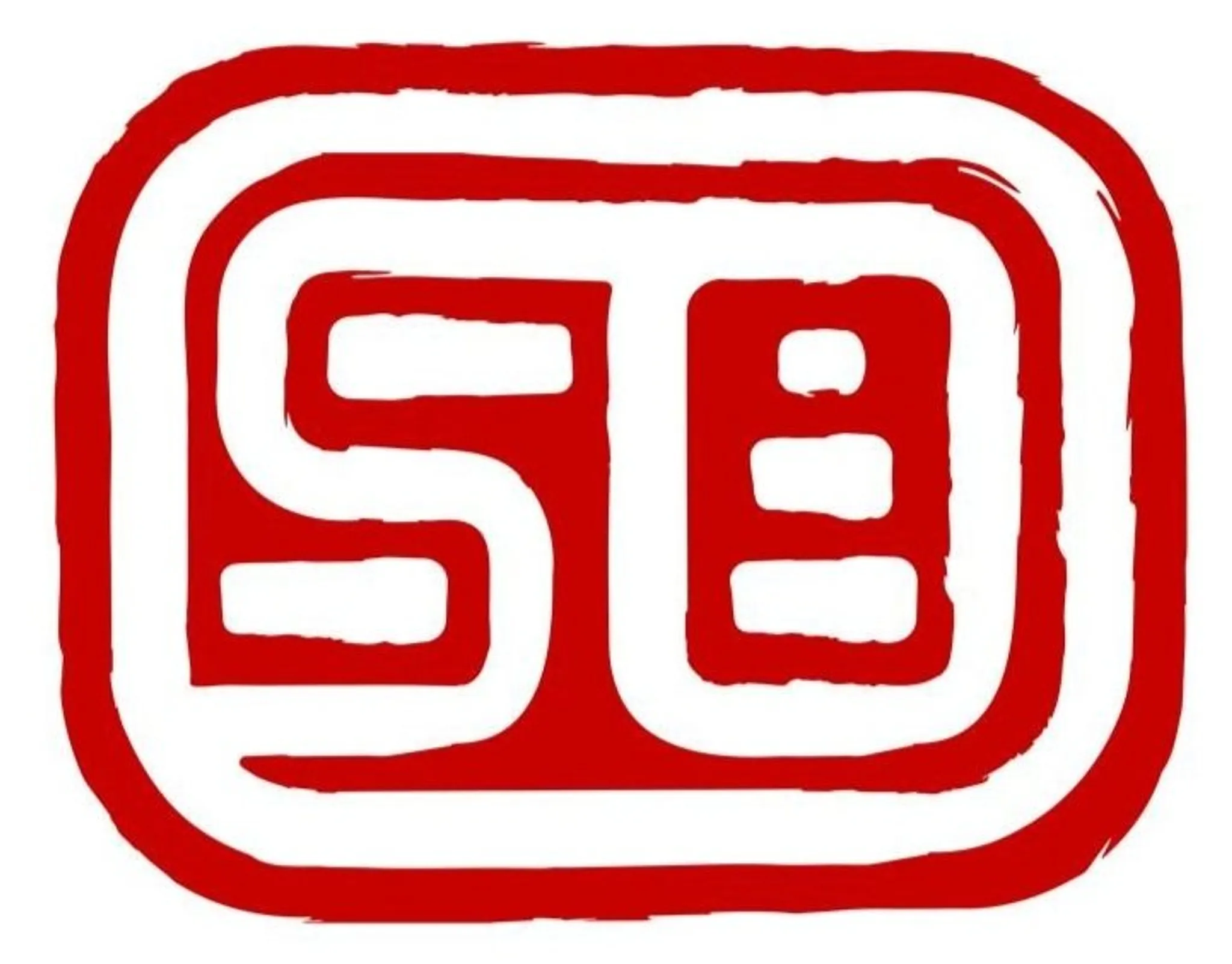 Bishop’s Stortford kung fu ADULT wing chun CLASSEs