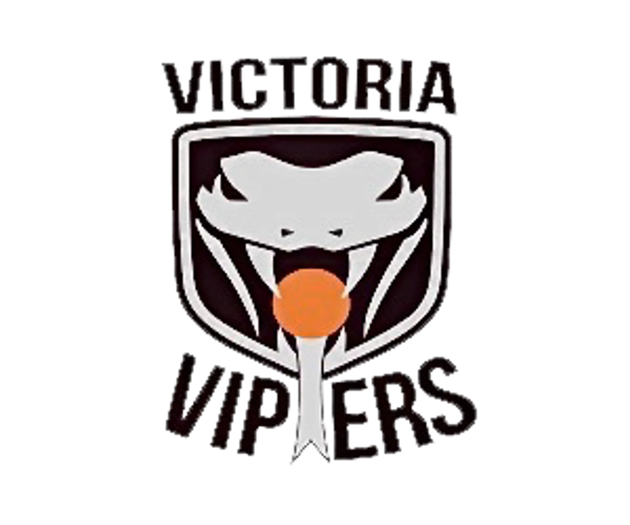 Vancouver Island Ball Hockey League