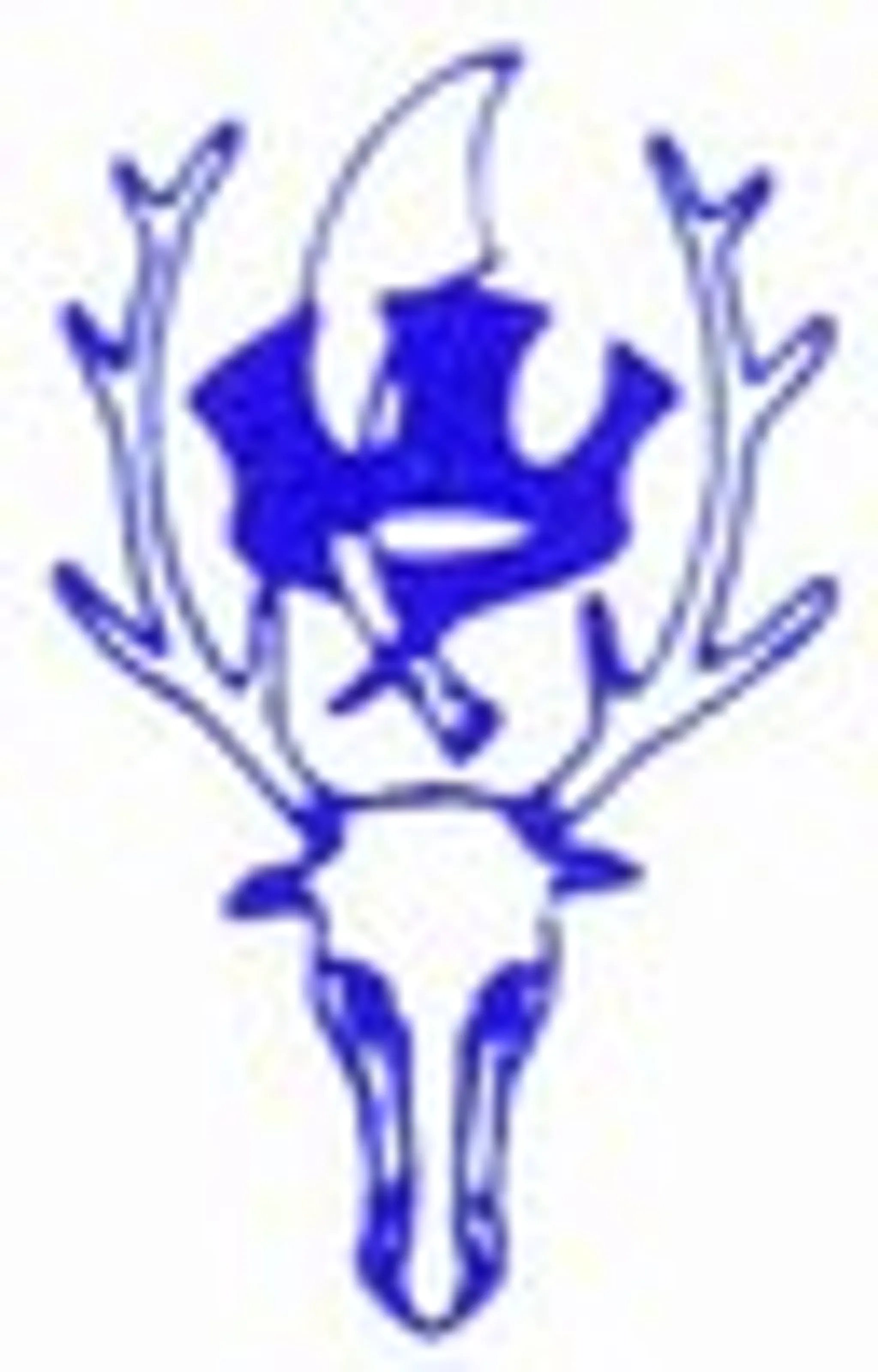 Chingford Cricket Club