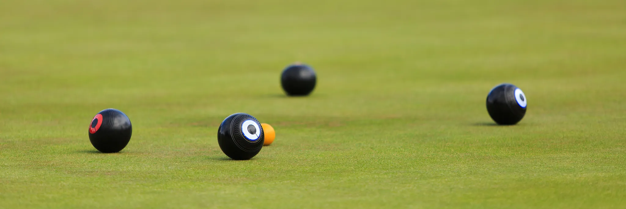 Social Bowls