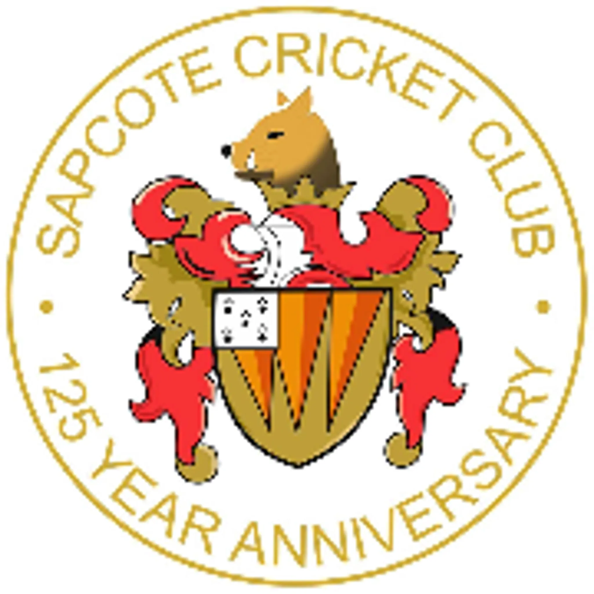 Sapcote Cricket Club