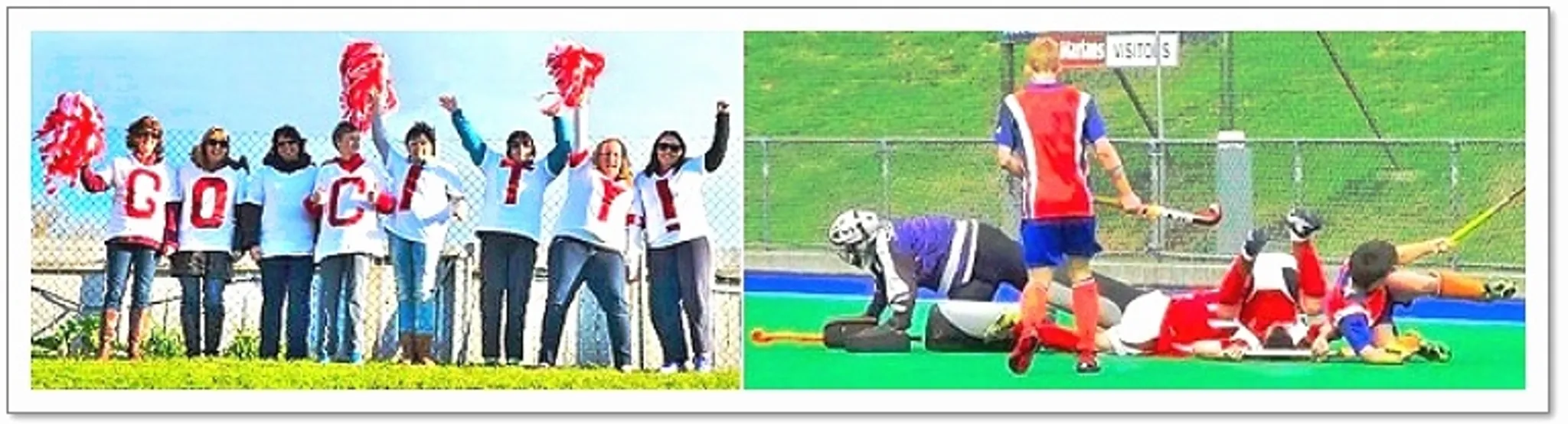 Get Into Hockey Session Registration