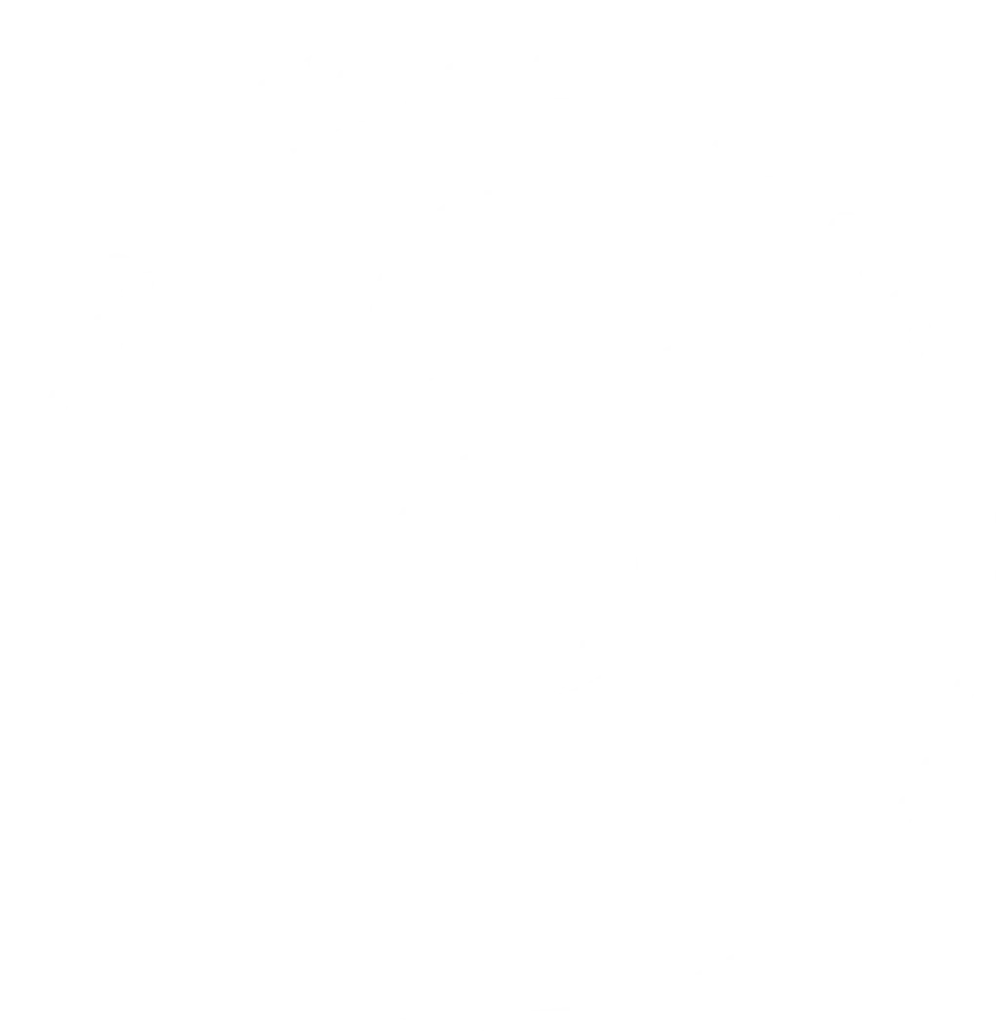 Seido Karate - Brisbane
