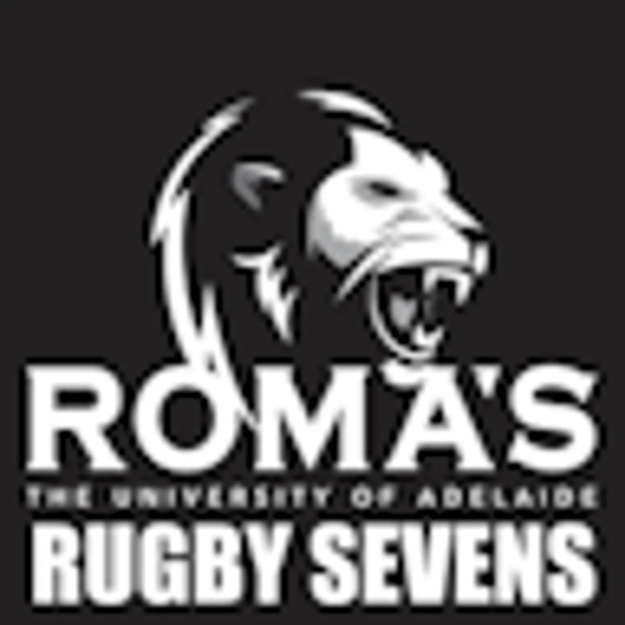 South Australian Rugby Union Ltd