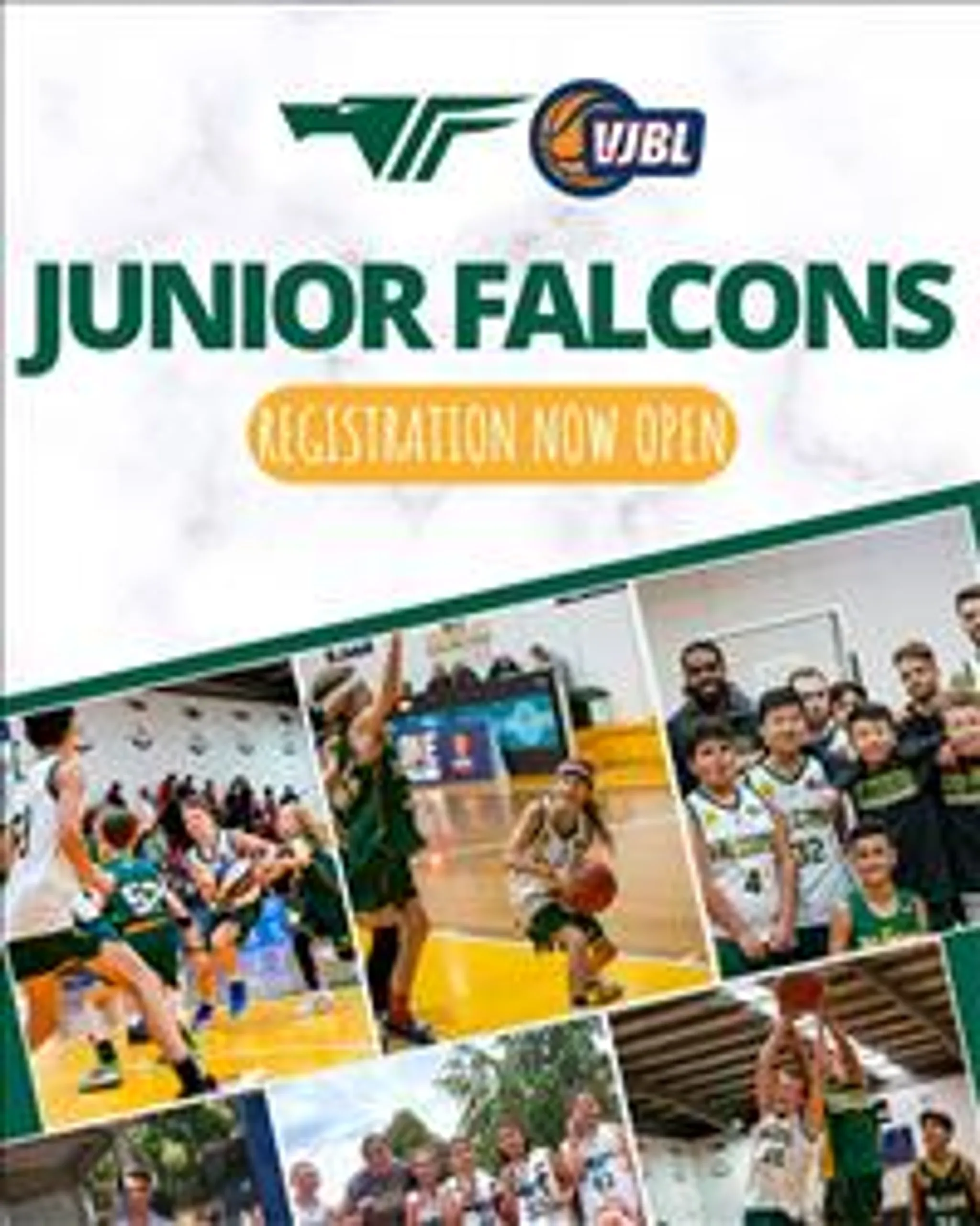 2024 VJBL Season Registration