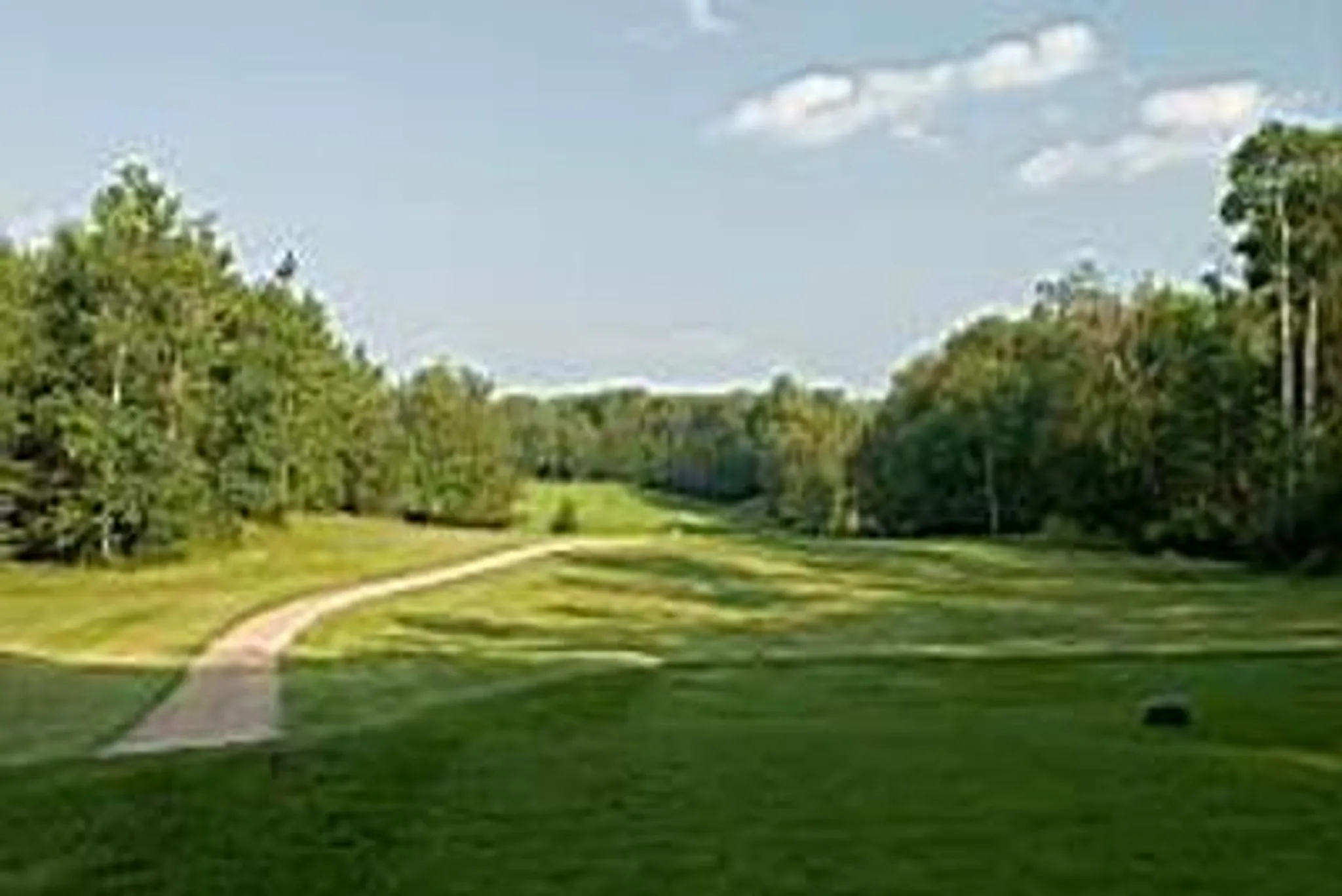 The Golden Duck 2024 Golf Tournament