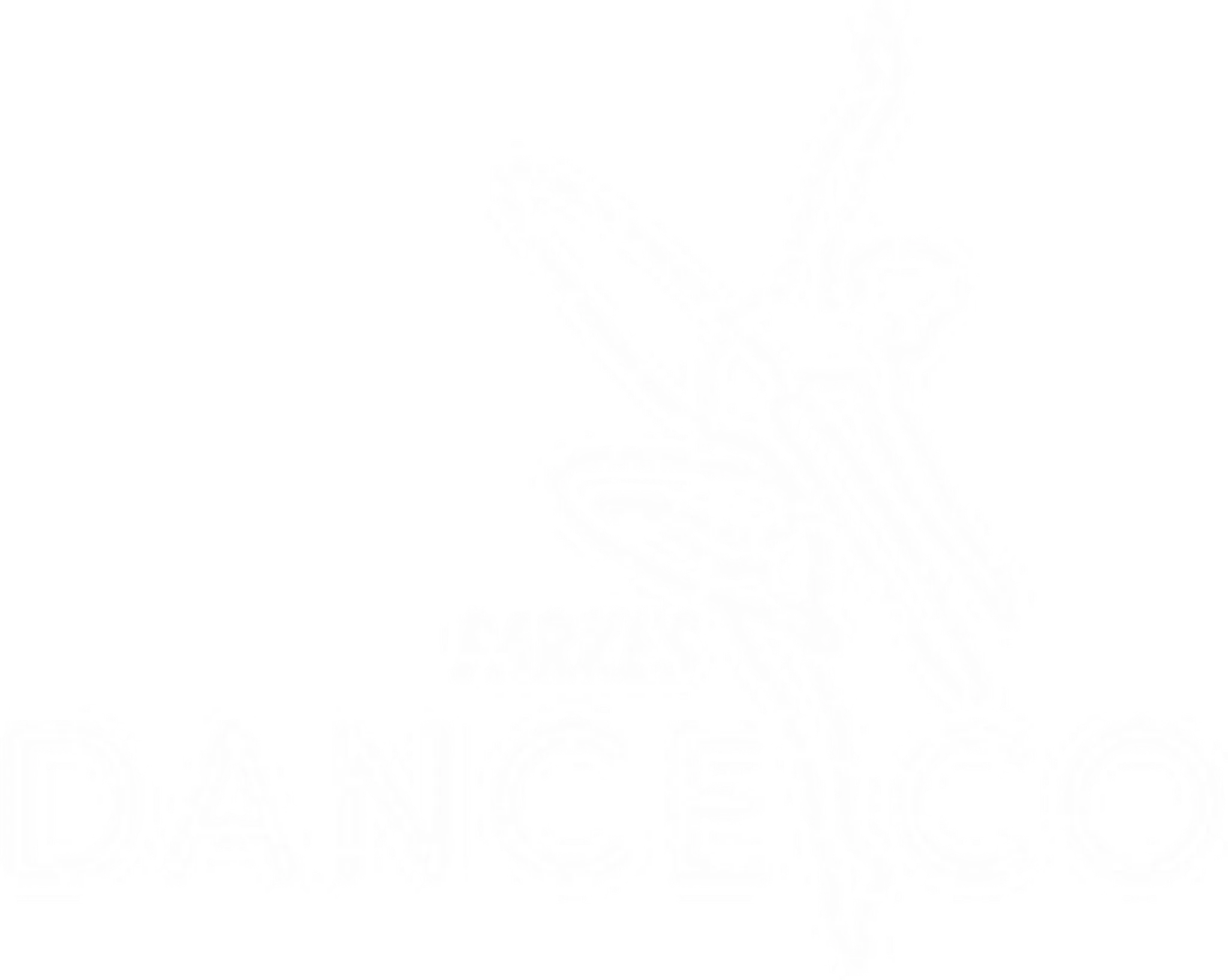 Parkes Dance Co