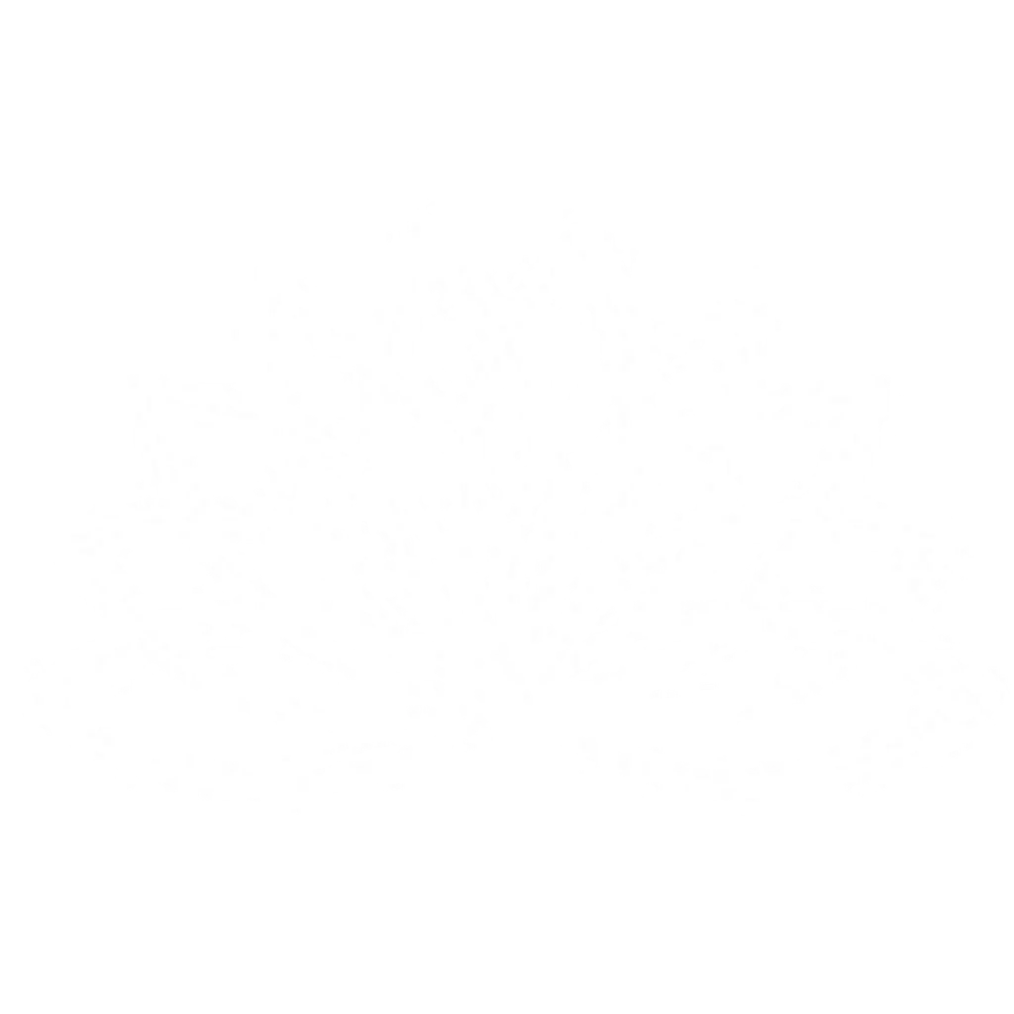 The Wise Lotus Centre