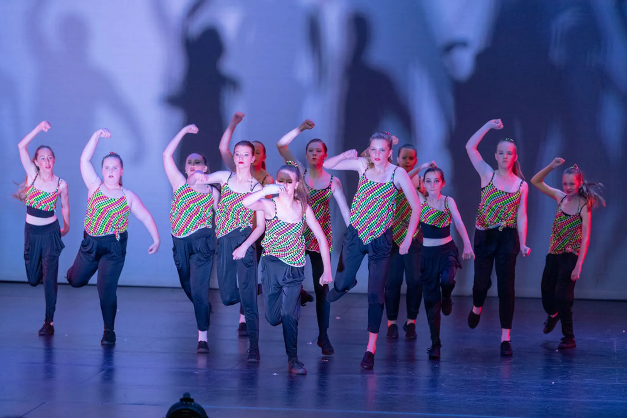 Dwan-A-Dance Annual Performance