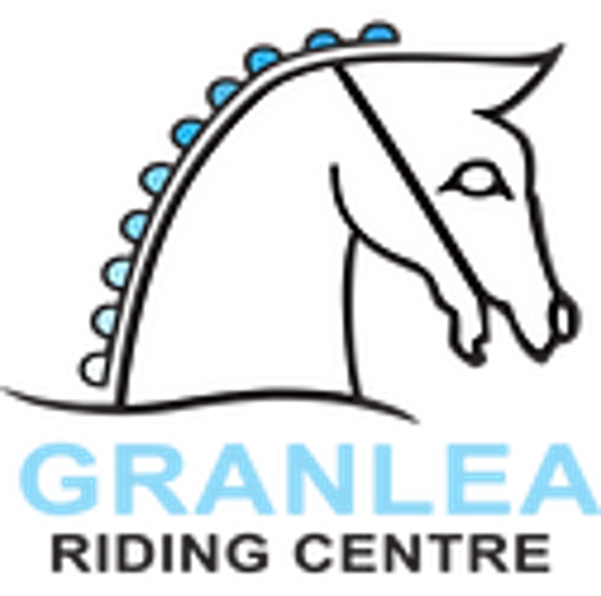 Granlea Horse Riding