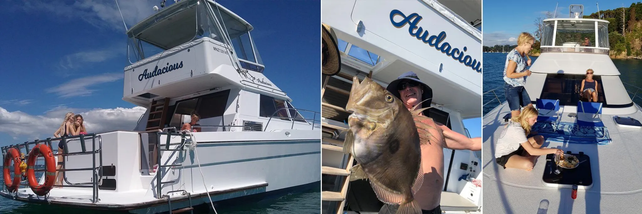 Auckland to Northland Crusing and Fishing Charters