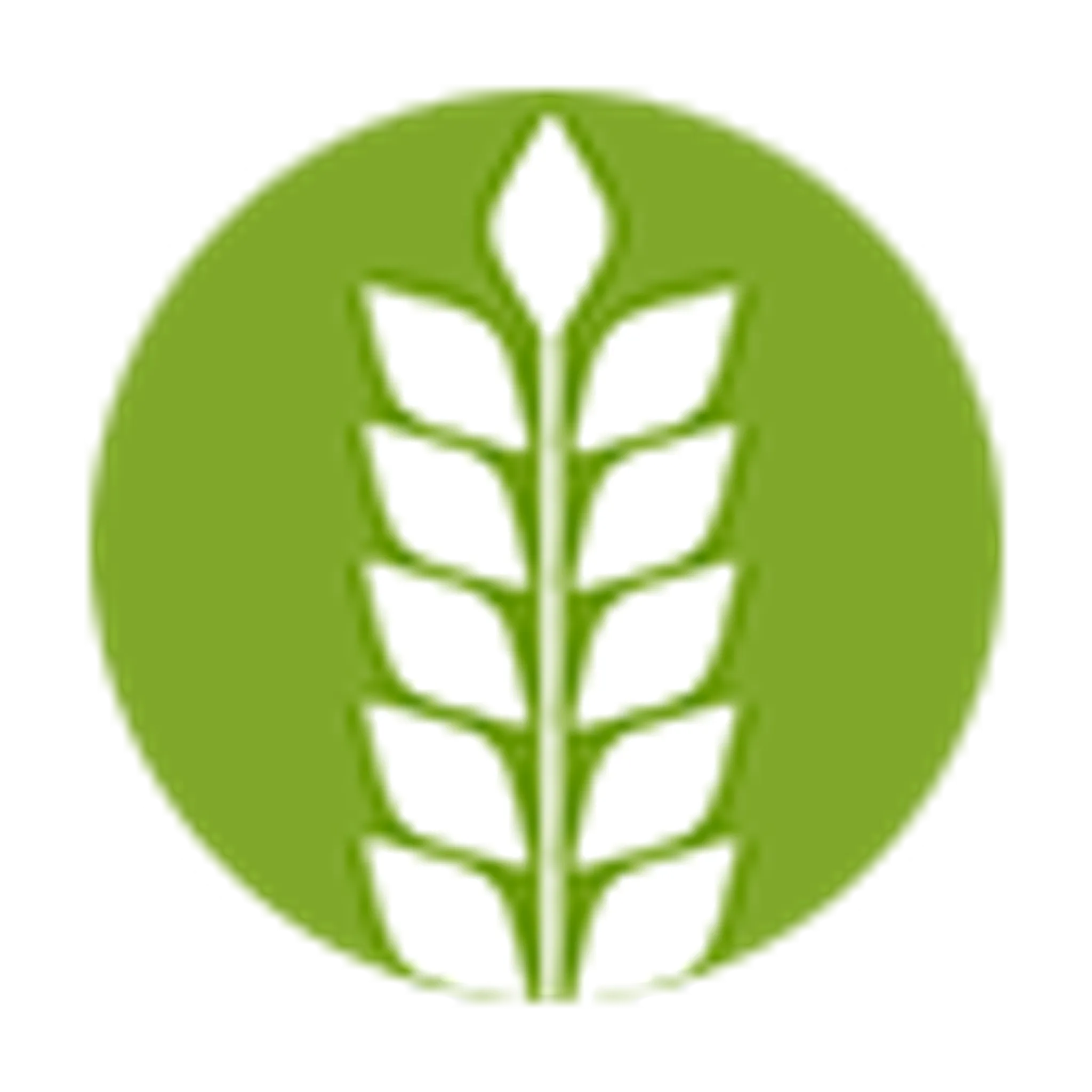 Skatepark des Gorges