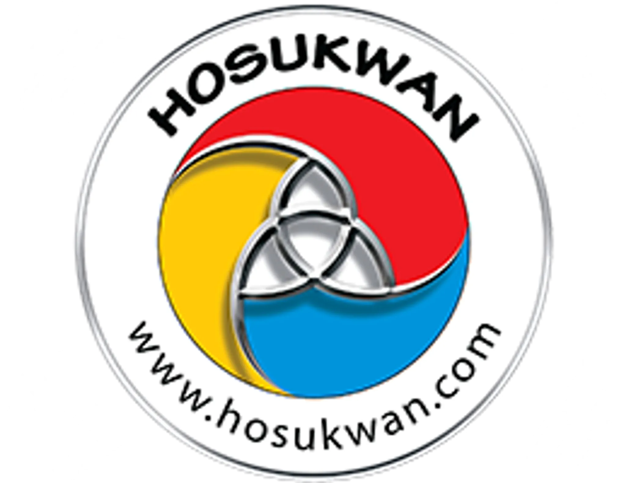 Qi Gong - Taijiquan - Self-Défense - Sabre Laser - "Hosukwan"