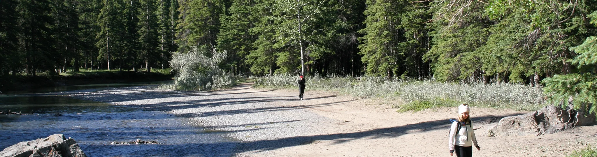 Summer Forest Bathing Retreats at Quantum Leaps Lodge