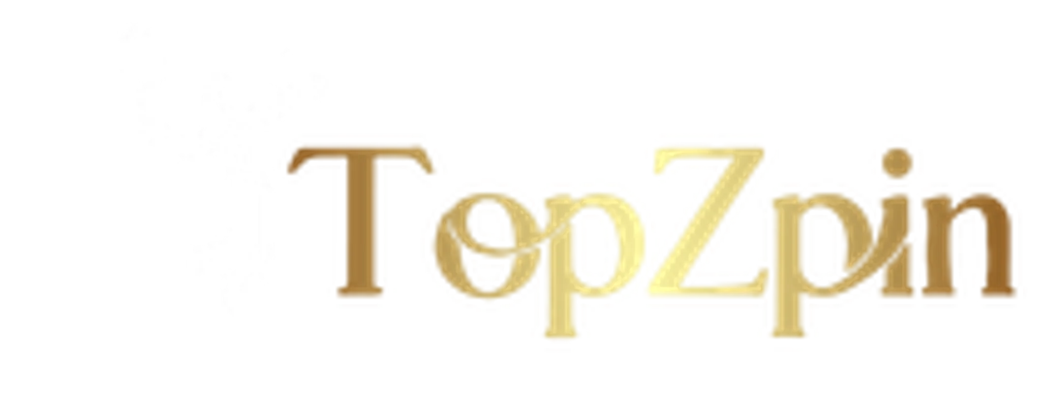 Topzpin
