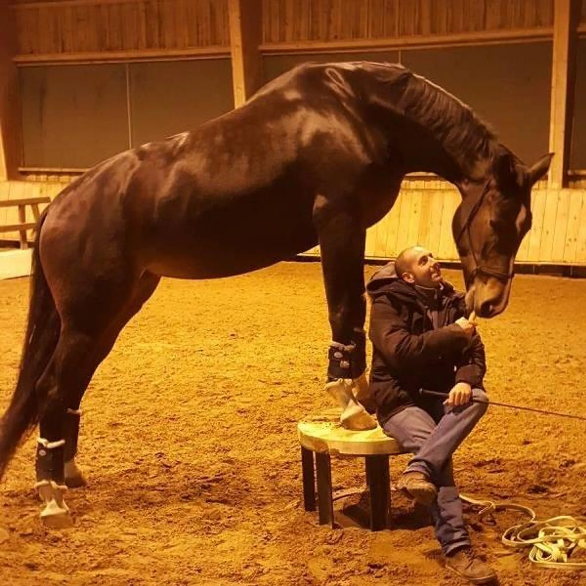 LES ECURIES DE RUTEL