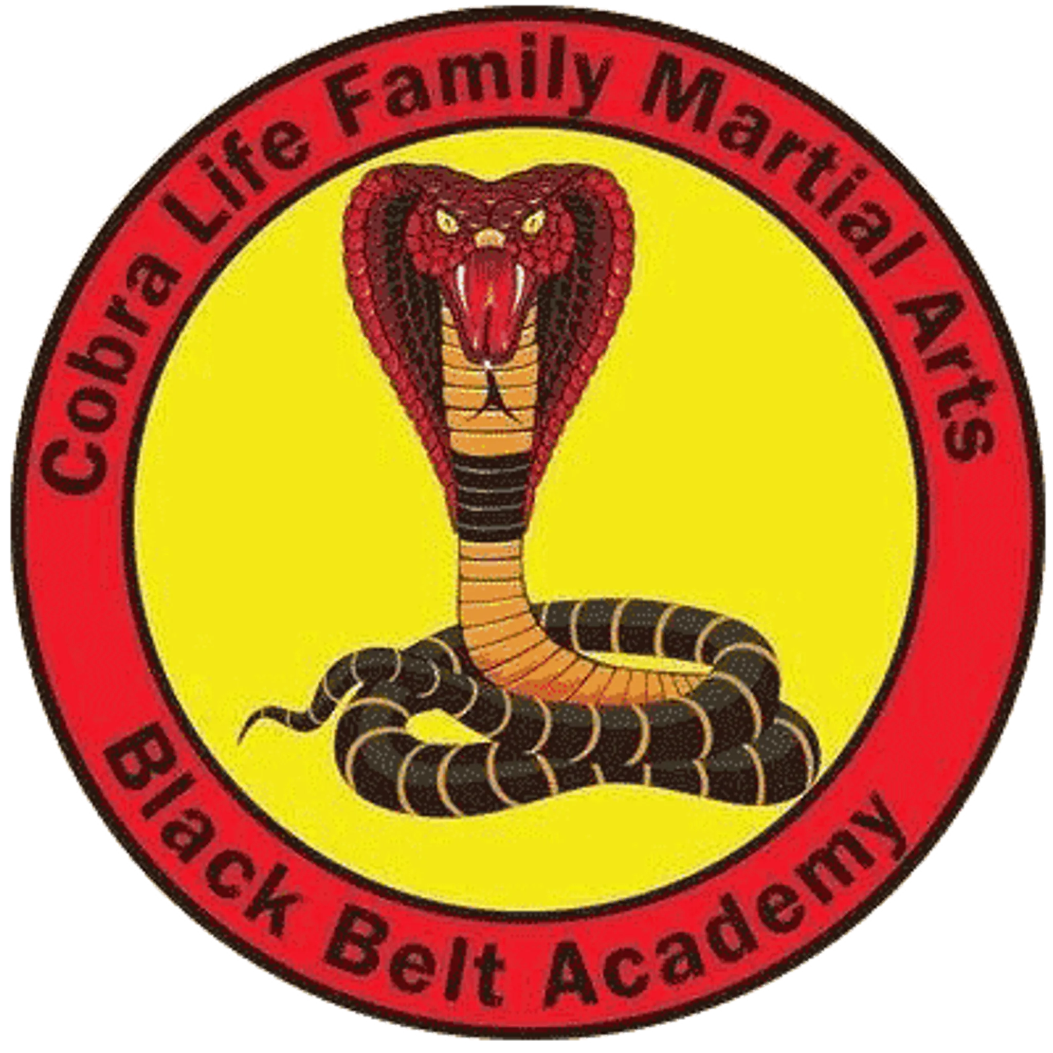 Cobra Life Family Martial Arts Black Belt Academy