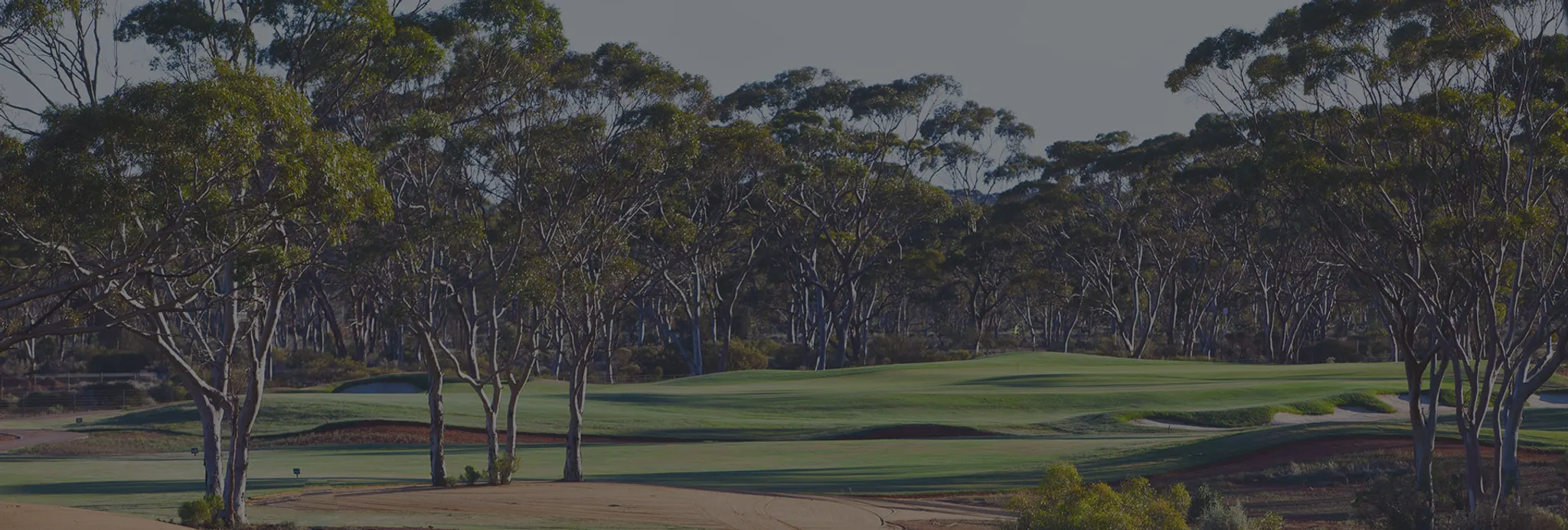 Ladies Golf Ladies Day