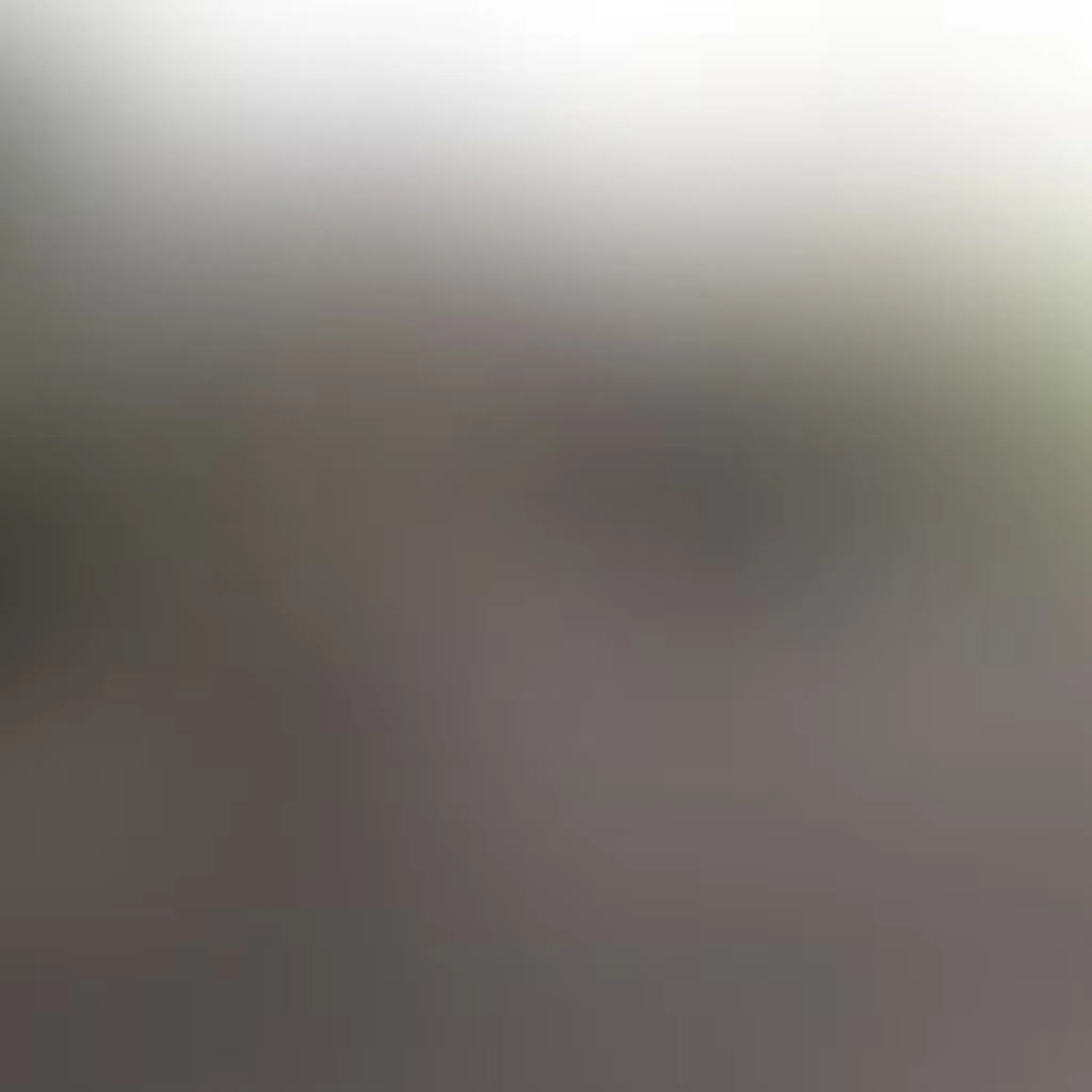 Belfairs Riding School