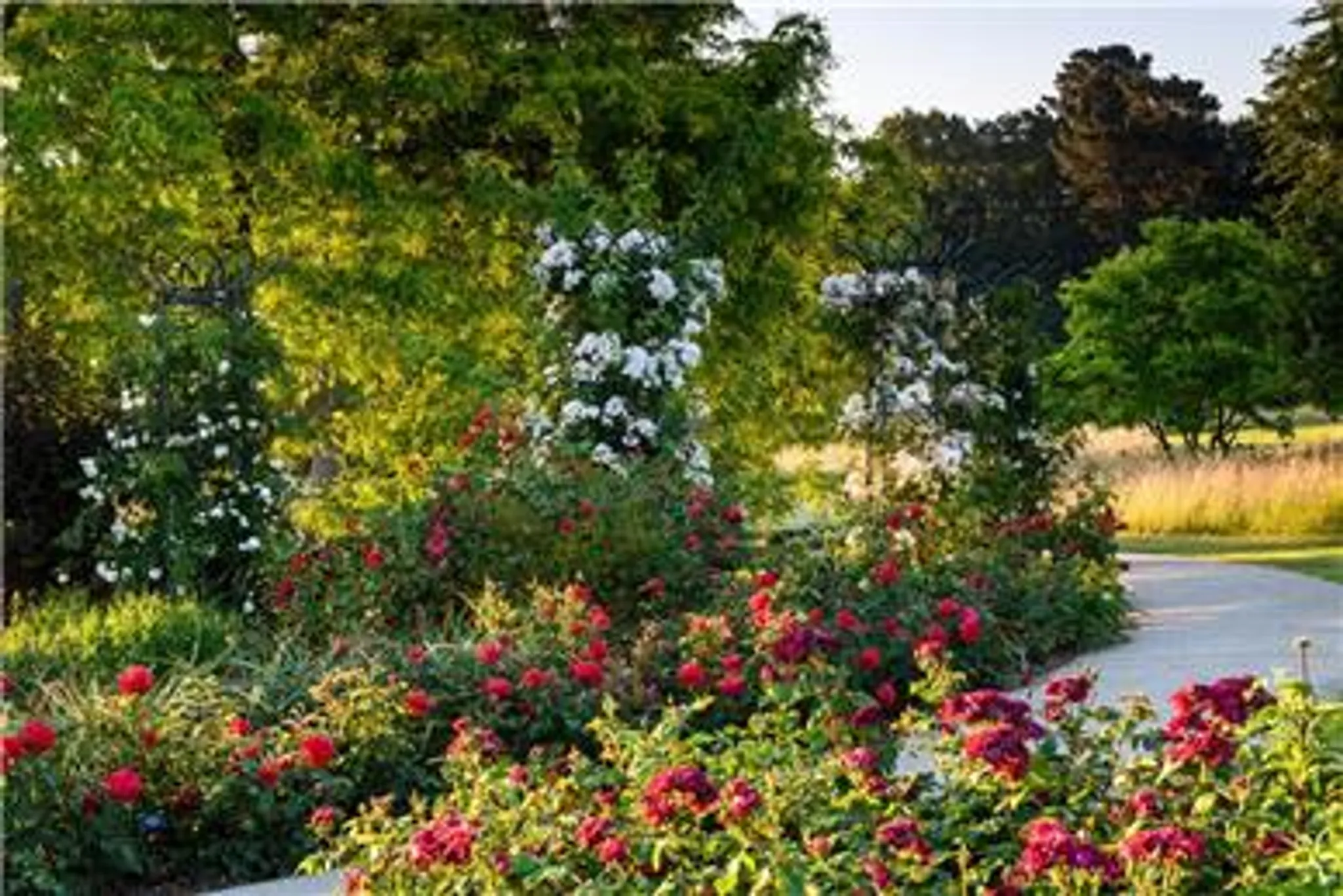 SER AGM and 76th Anniversary Meet