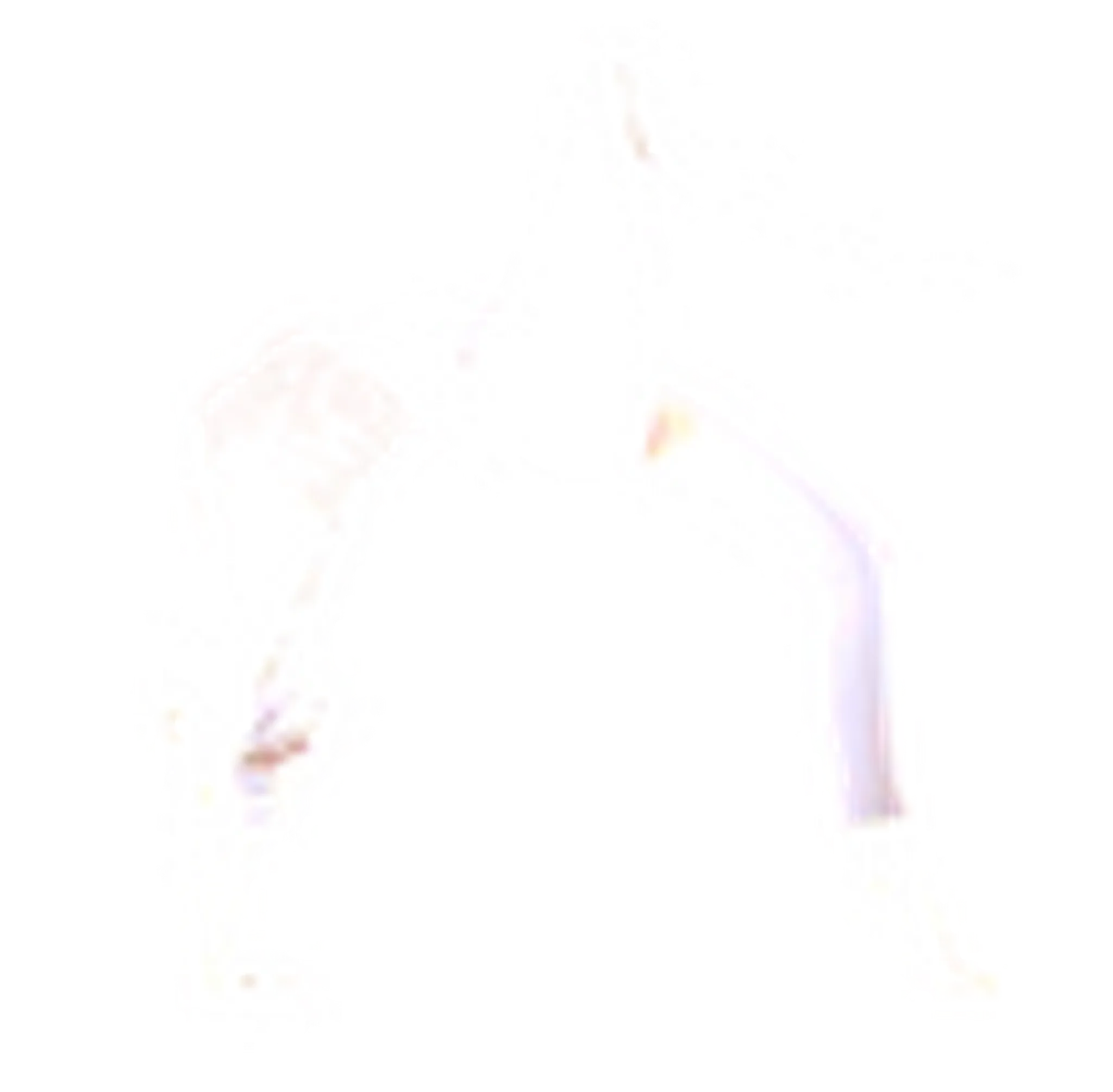 Private Yoga / Somatic Movement Studio