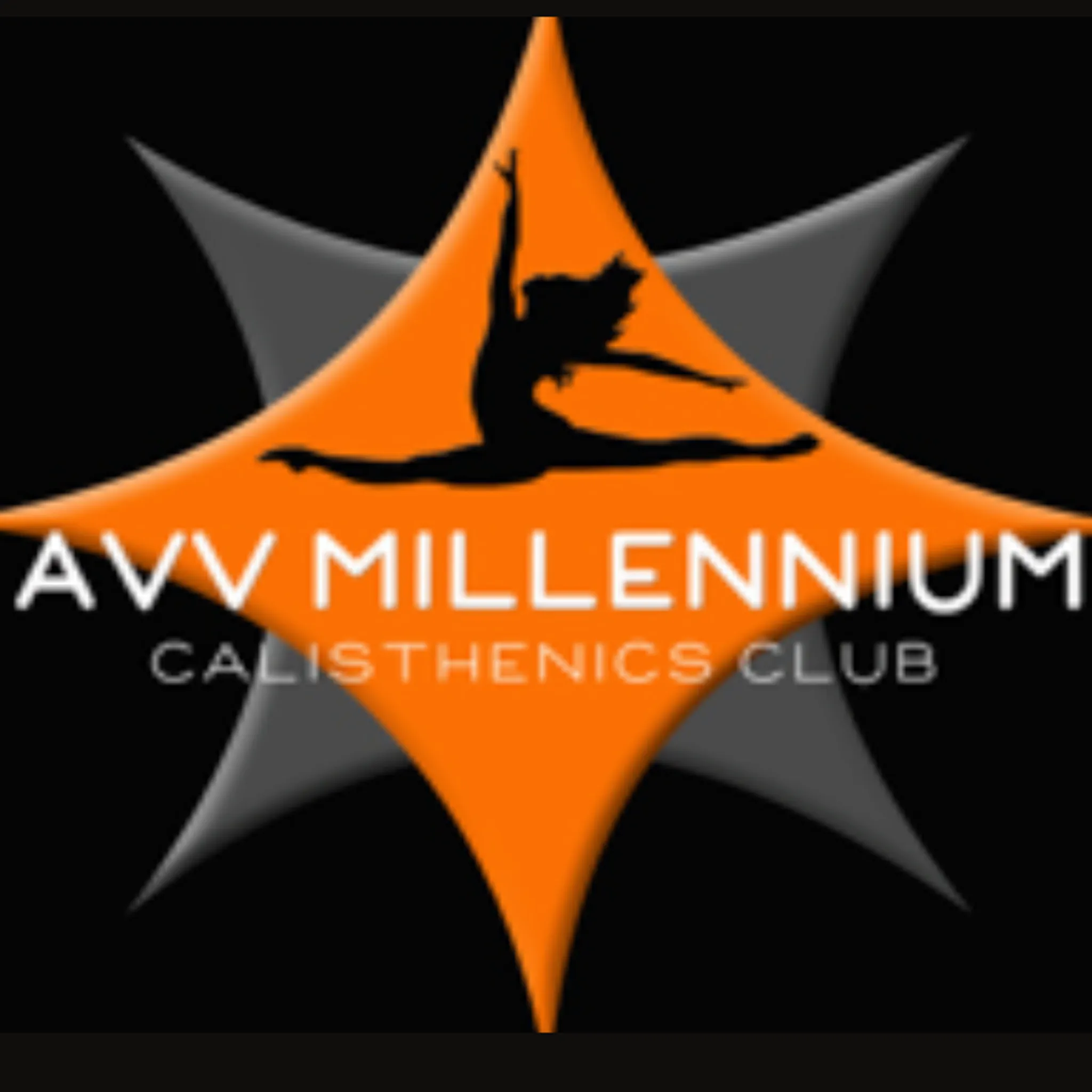 AVV Millennium Calisthenics and Dance Academy