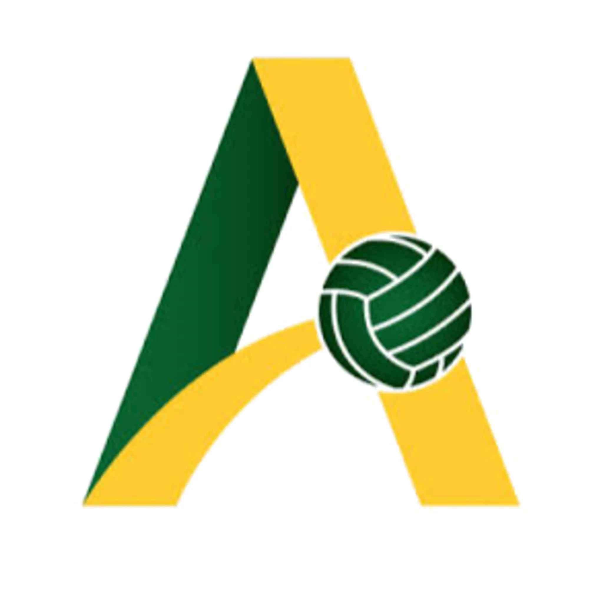 Ashburton Netball Club