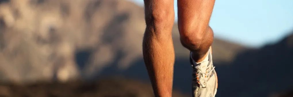 The Longevity Knee- Online Program The Longevity Knee- Online Program