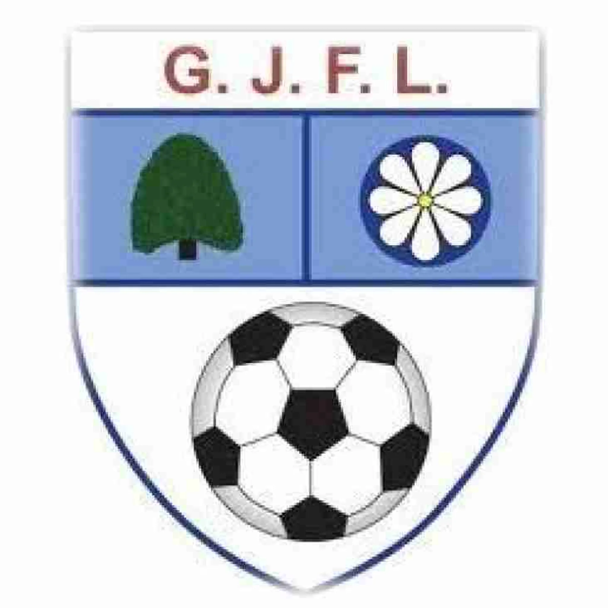 Leeds City Juniors FC