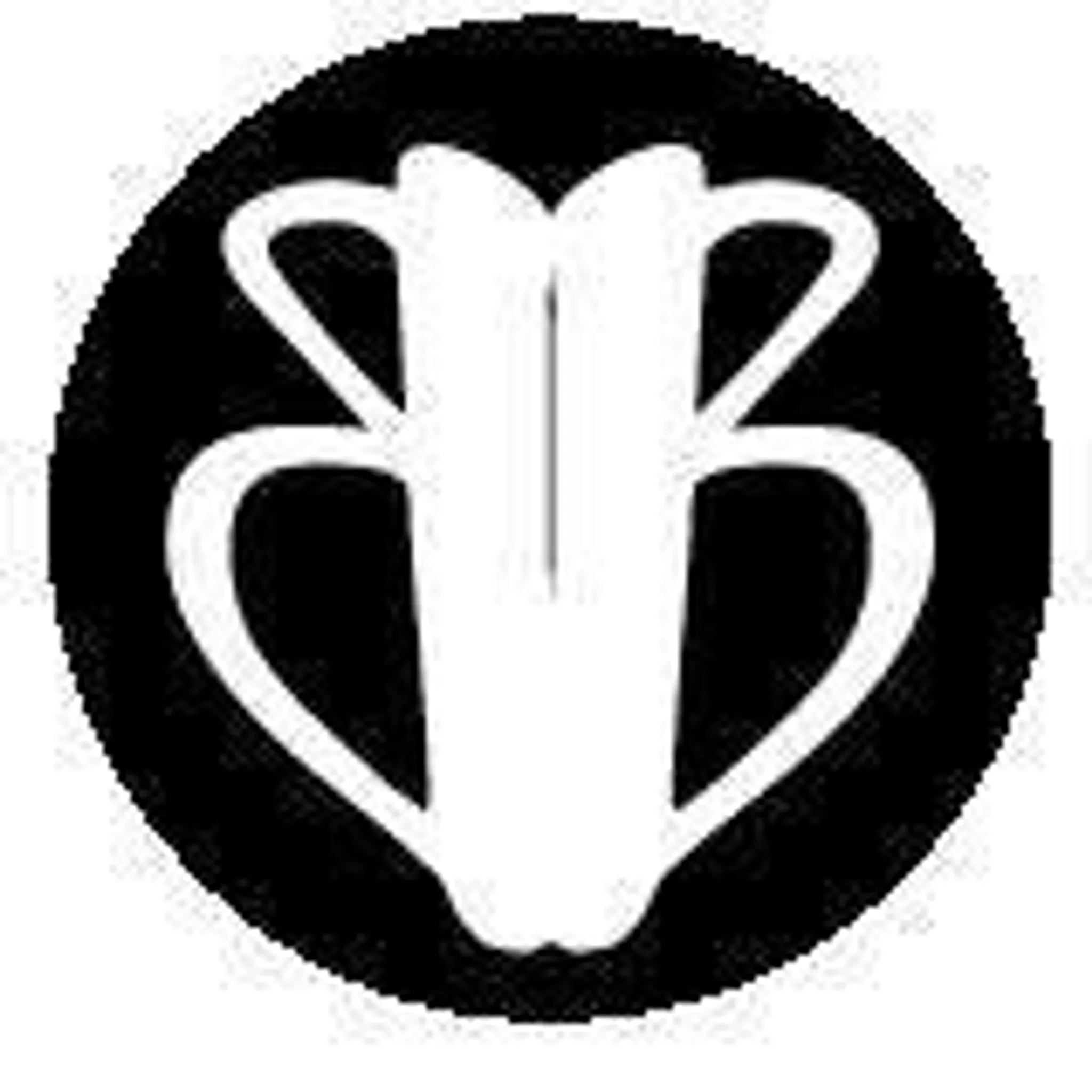 BeBliss Yoga & Sound with Emma