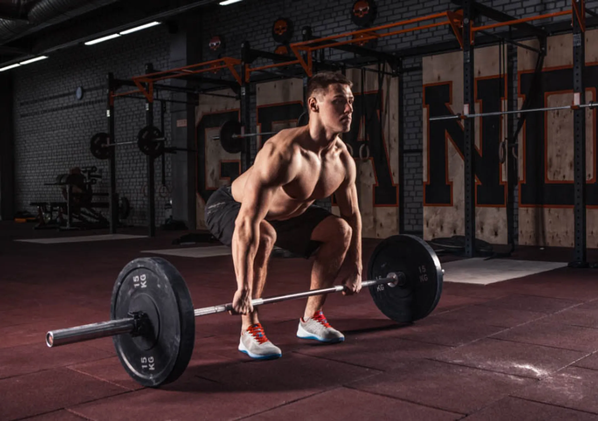 Muscle Hypertrophy & Physique Package