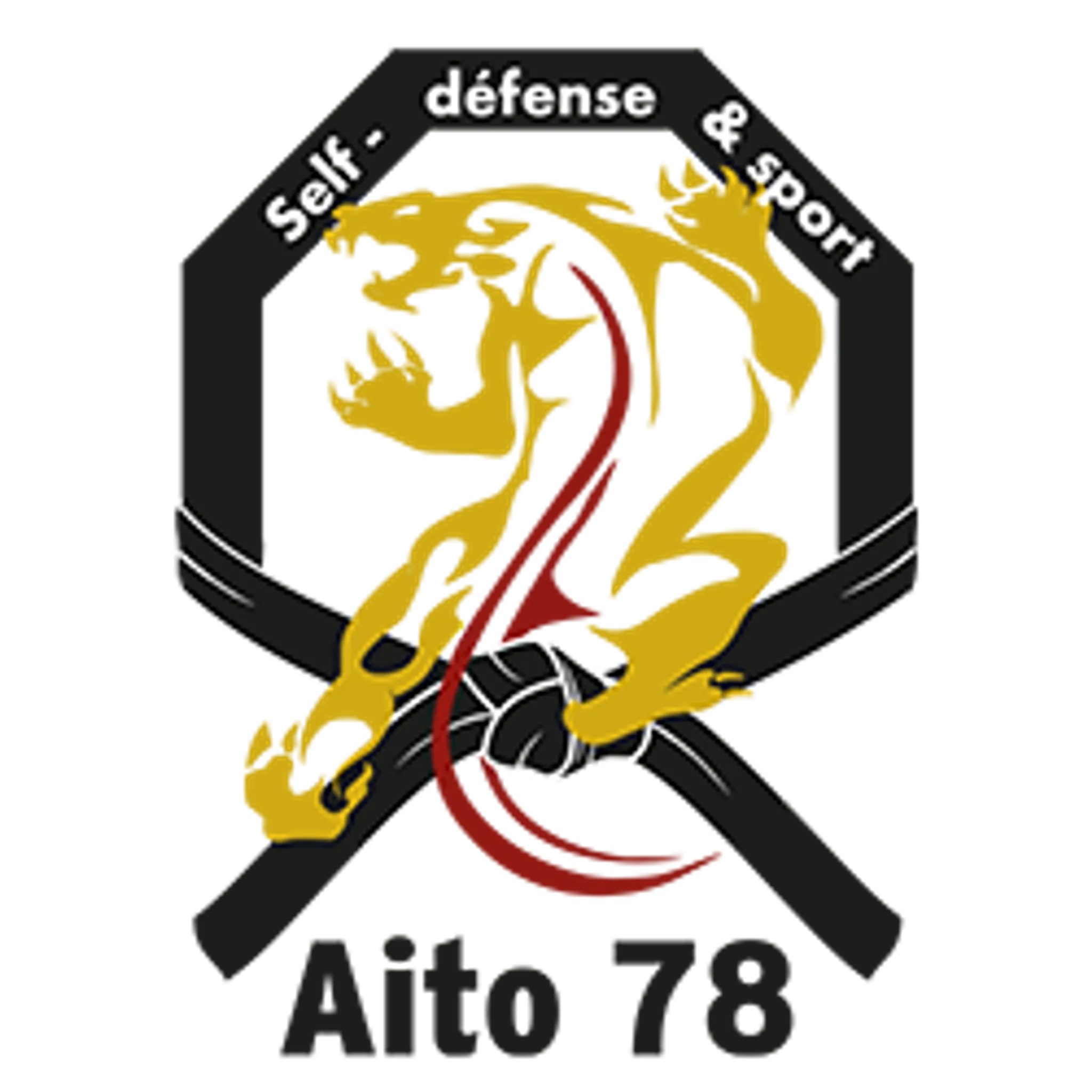Aito 78 Self Defense - Judo Jujitsu Karate Mma Free Fight