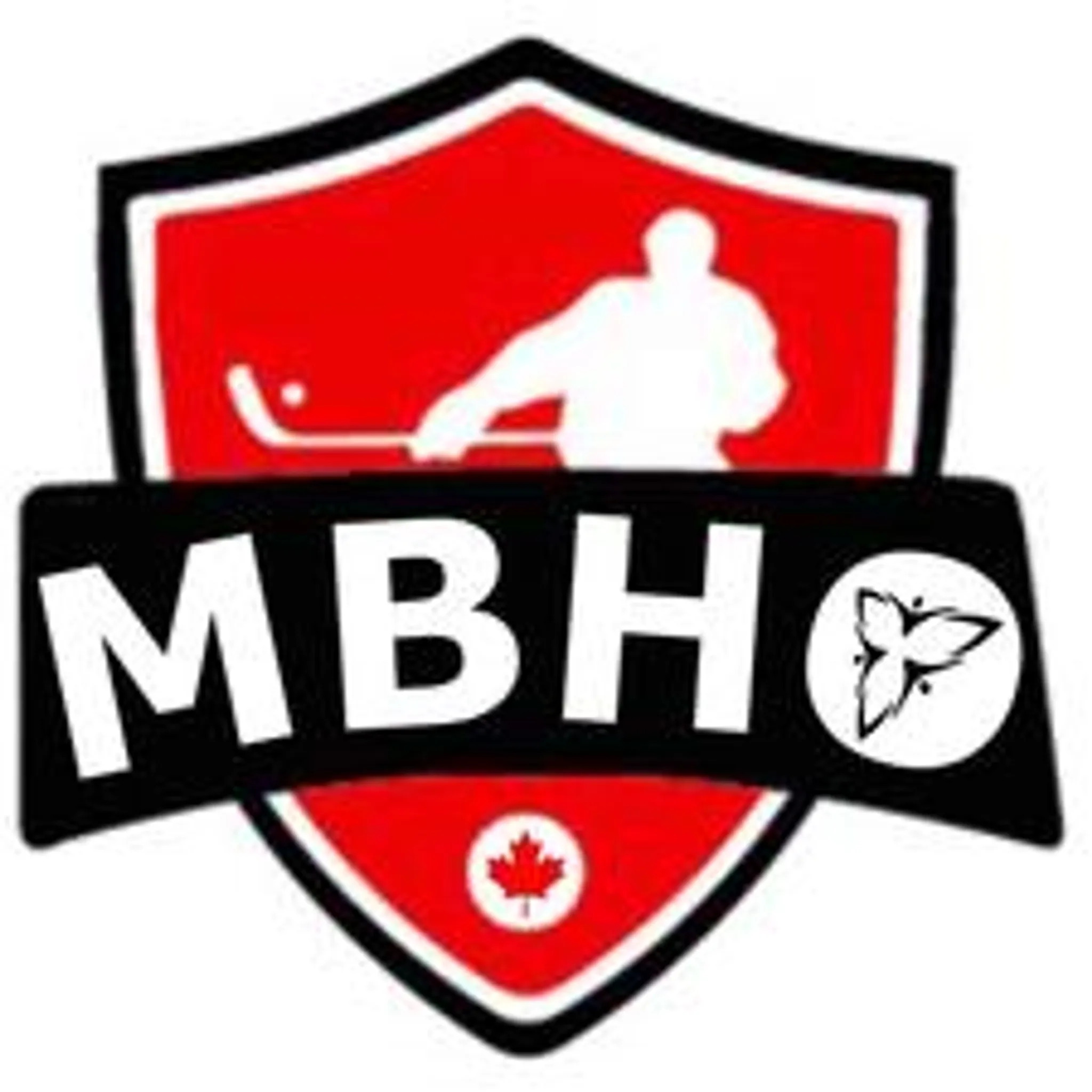 Richmond Hill Minor Ball Hockey League