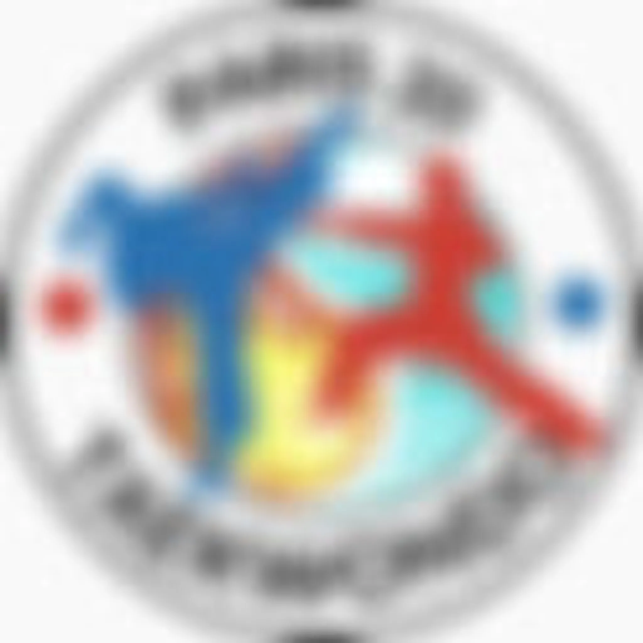 Club Taekwondo Traditional Paris 20 The Gymnasium Paul Meurice