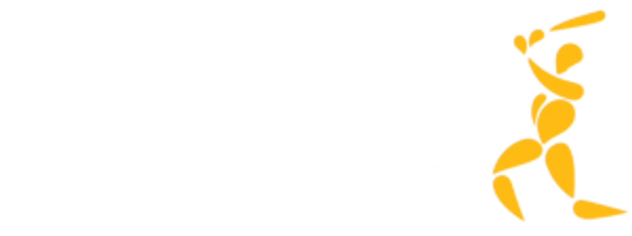 MCCA - MY CRICKET COACHING ACADEMY