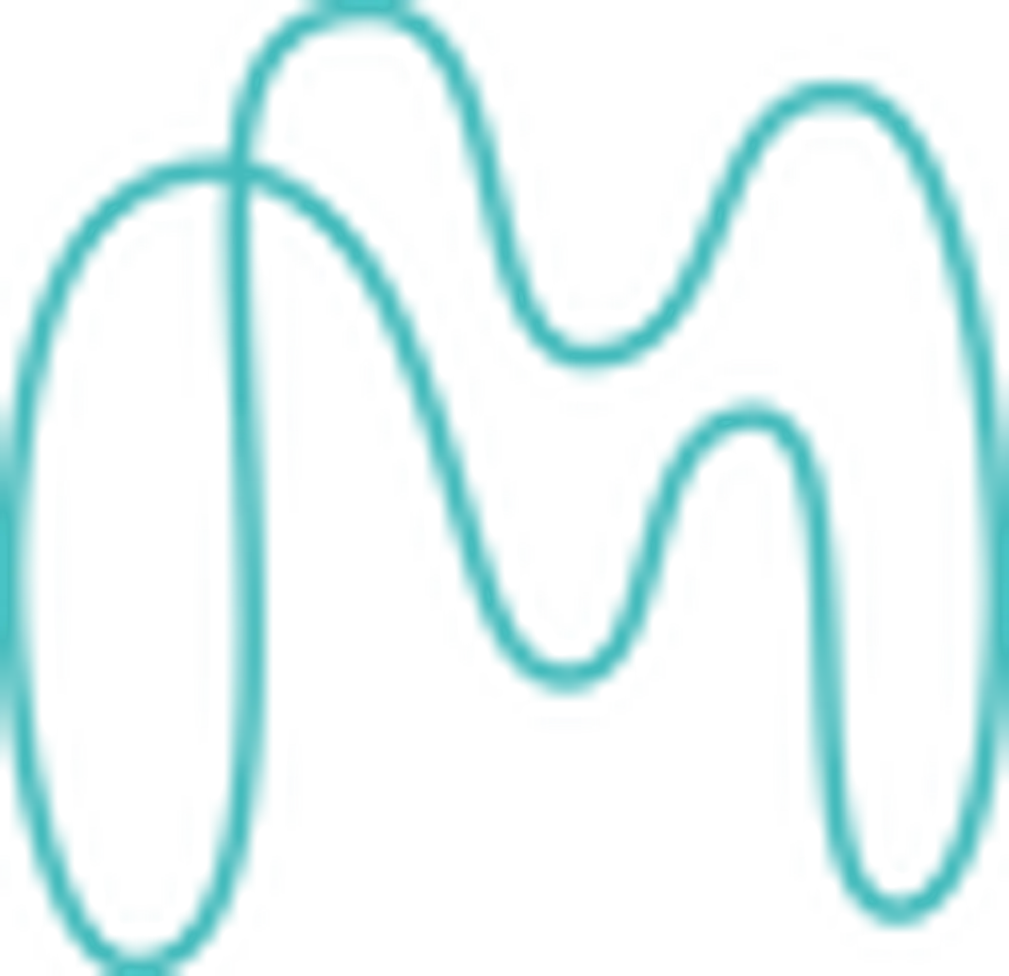 Mind to Muscle Fitness