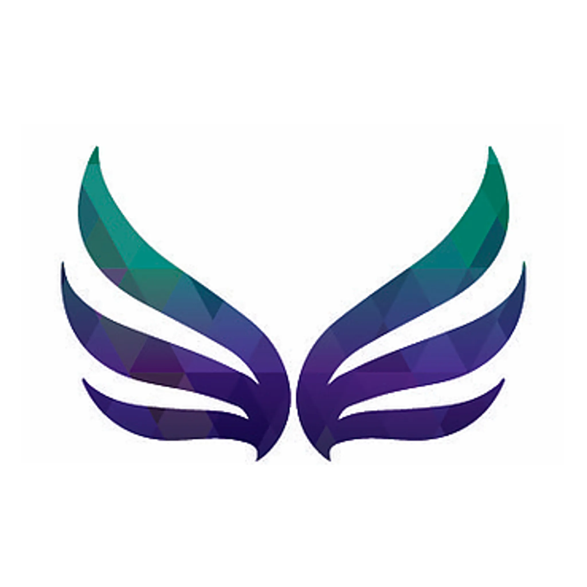 Flight All Stars Cheerleading