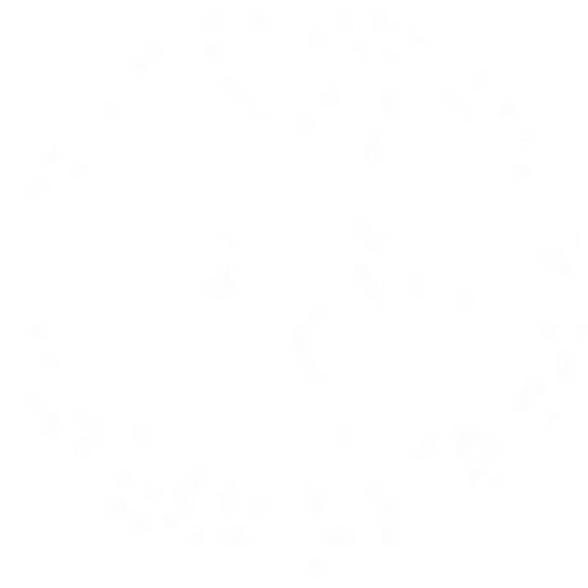 White Crane Fighting Arts - Tai Chi