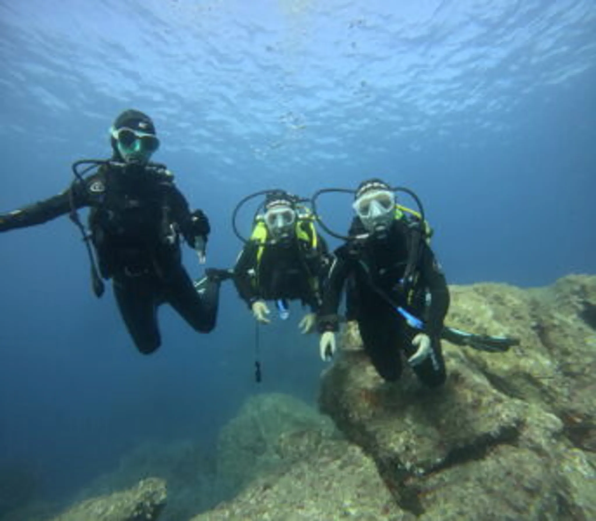 Cœlacanthe Plongée