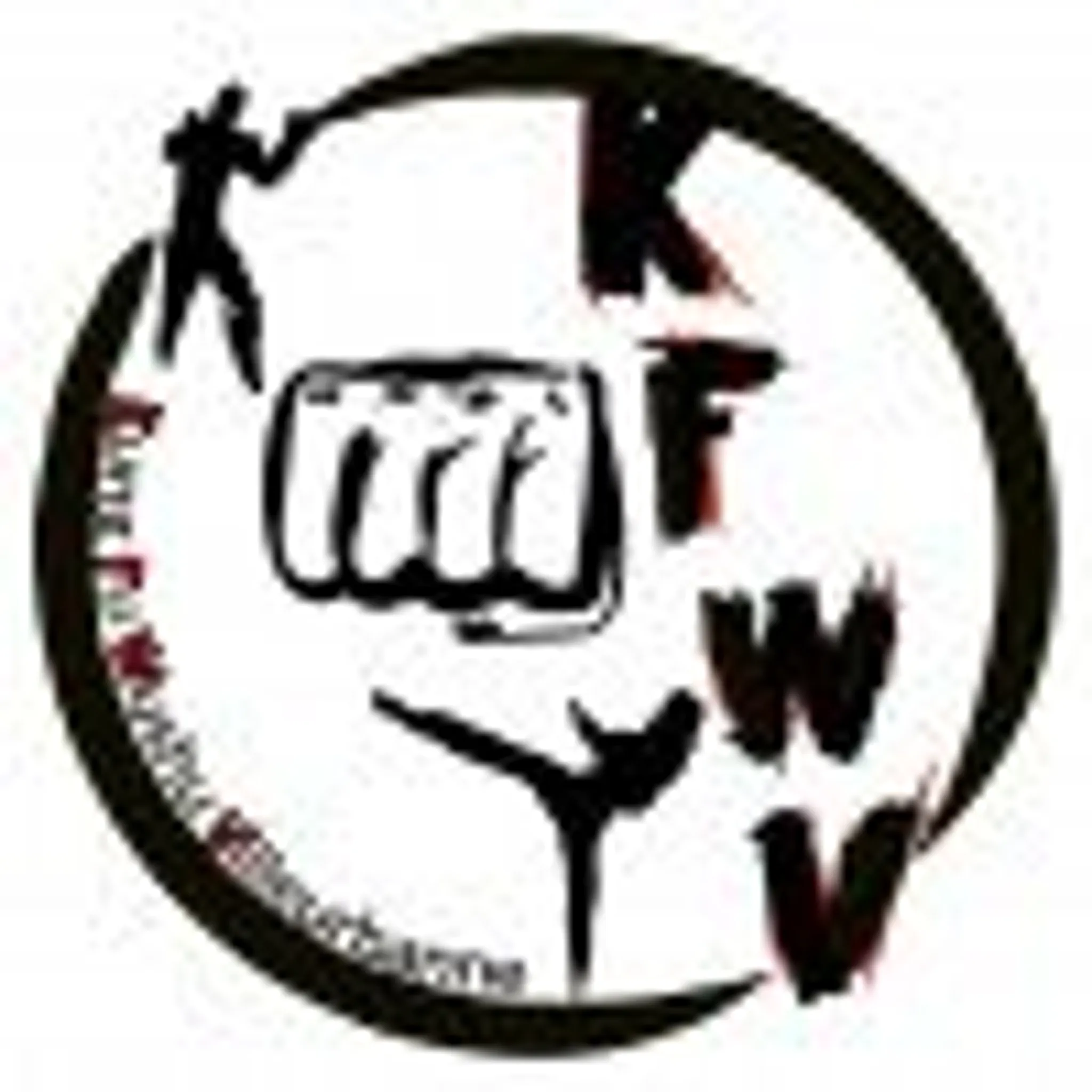 Kung Fu Wushu Villeurbanne