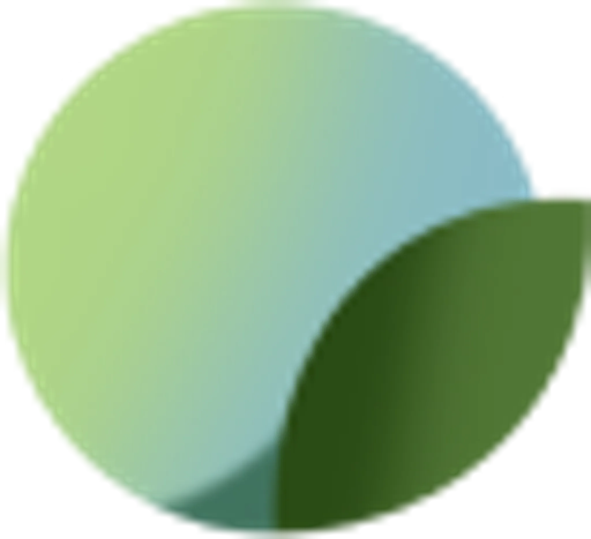 The Bike Affair | Premium Adult Bicycle Shop & Service in Hyderabad