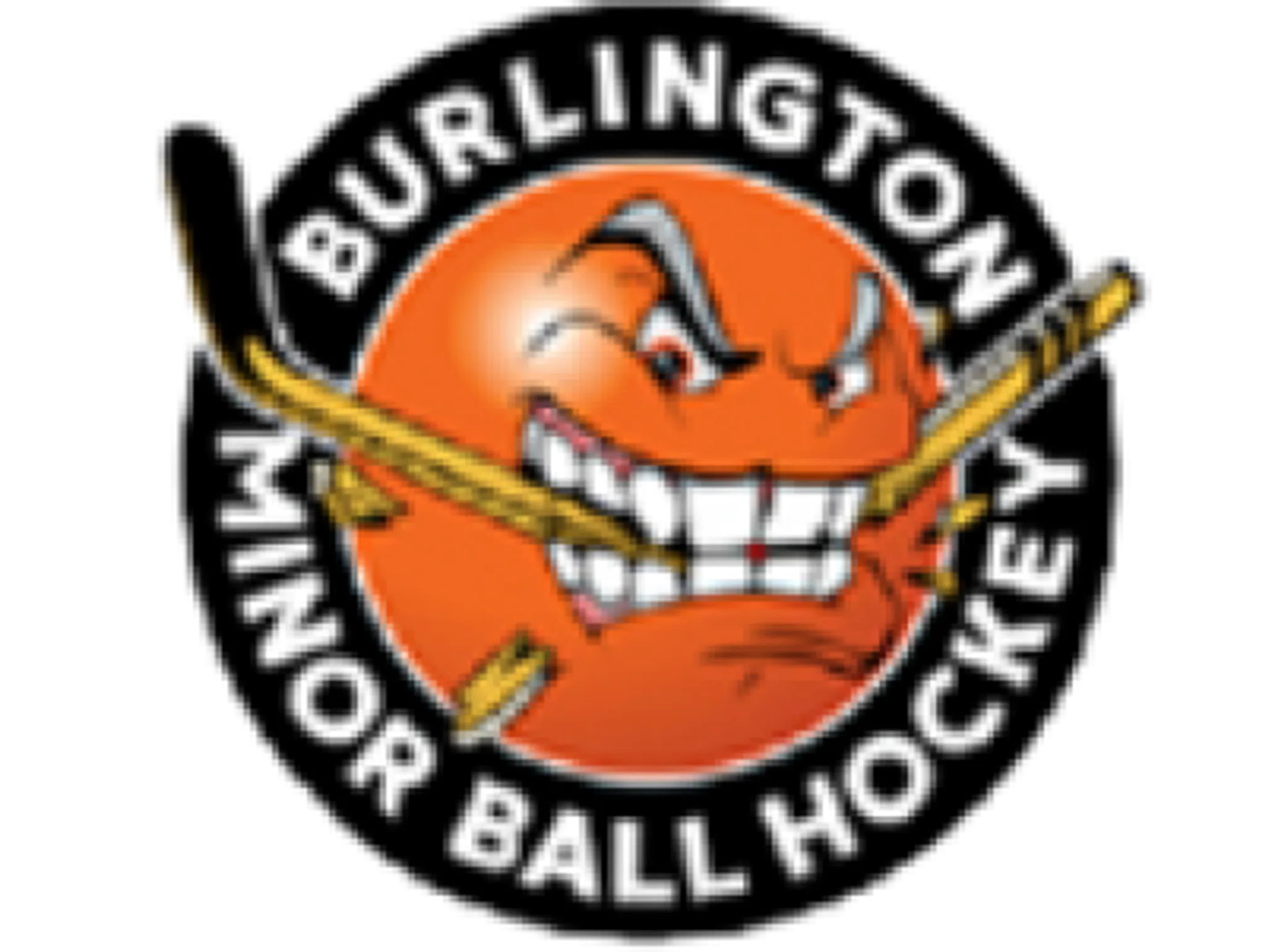 (Burlington) Halton Minor Ball Hockey League and the BMBHL ACES