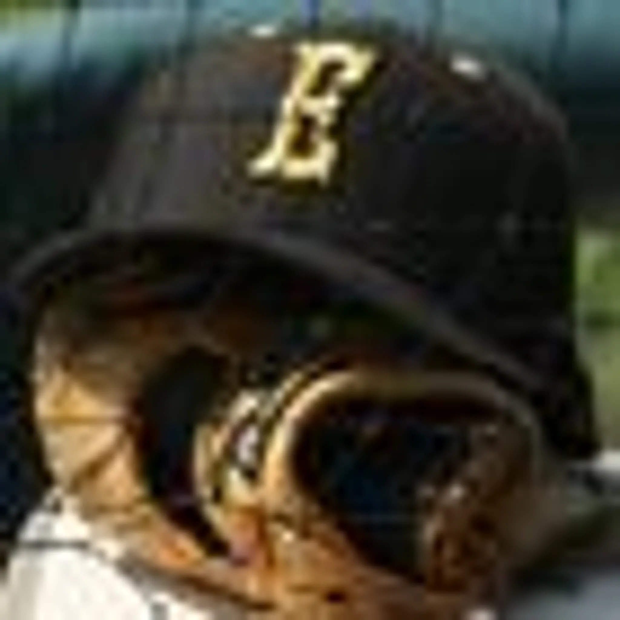 Edmonton Prospects