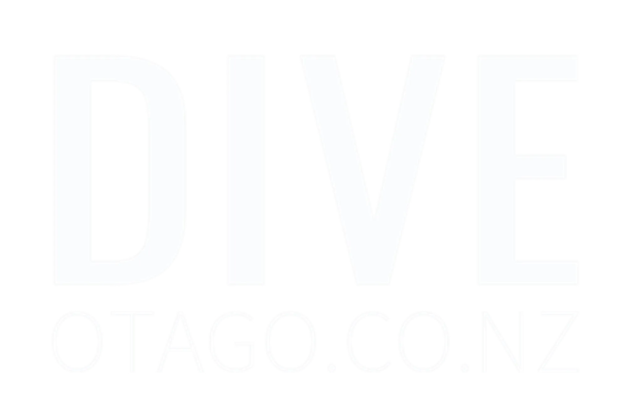 Dive Otago Ltd